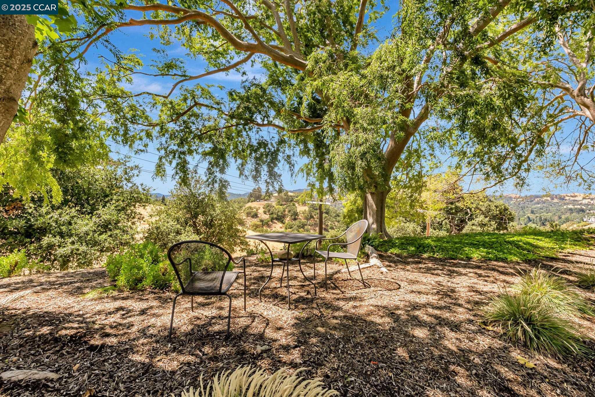 Photo #31: 41103874 Listing: Photo #31
