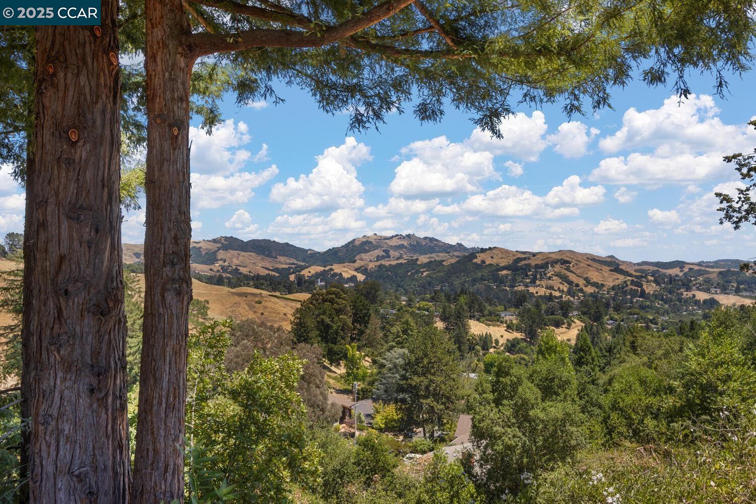 140 Warfield Drive, Moraga, California 94556, 4 Bedrooms Bedrooms, 10 Rooms Rooms,2 BathroomsBathrooms,Residential,For Sale,140 Warfield Drive,41103888