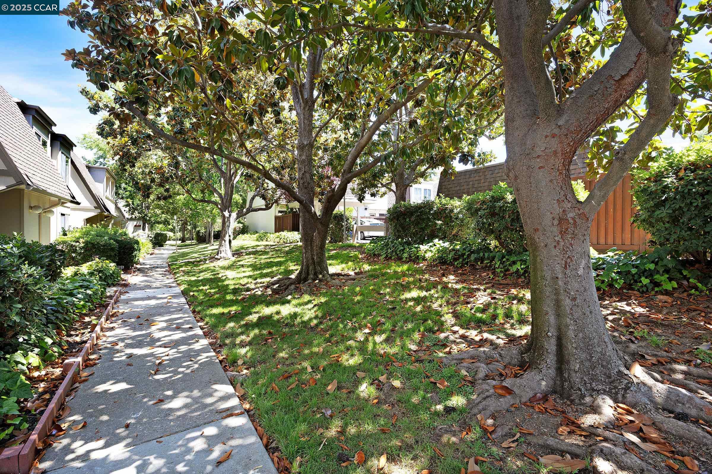 Photo #40: 41103913 Listing: Photo #40