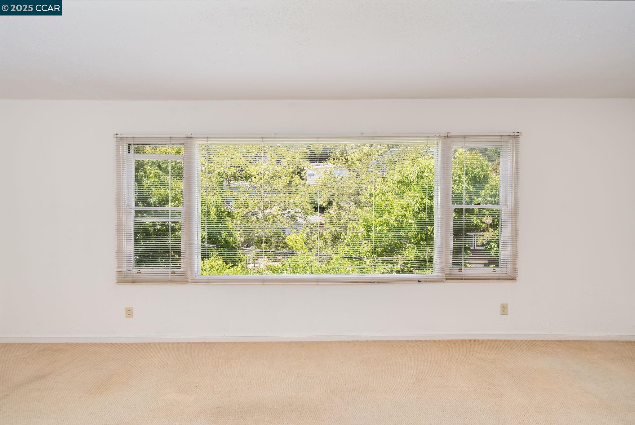 Detail Gallery Image 8 of 26 For 222 Marin St, San Rafael,  CA 94901 - – Beds | – Baths