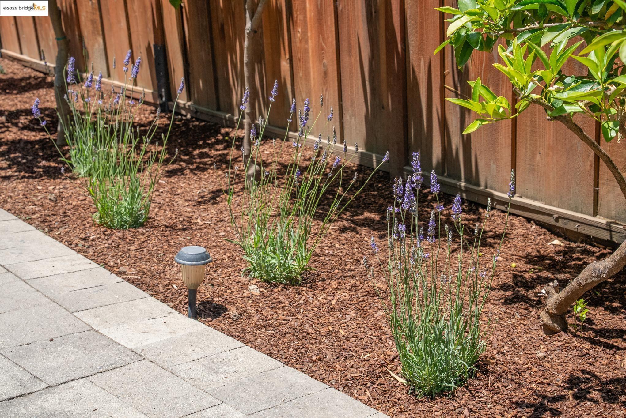Detail Gallery Image 49 of 56 For 967 31st St, Richmond,  CA 94804 - 3 Beds | 2 Baths