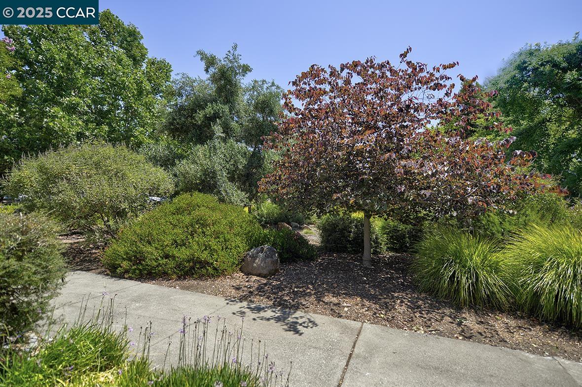 Photo #51: 41103922 Listing: Photo #51