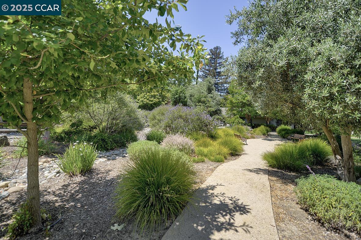 Photo #57: 41103922 Listing: Photo #57