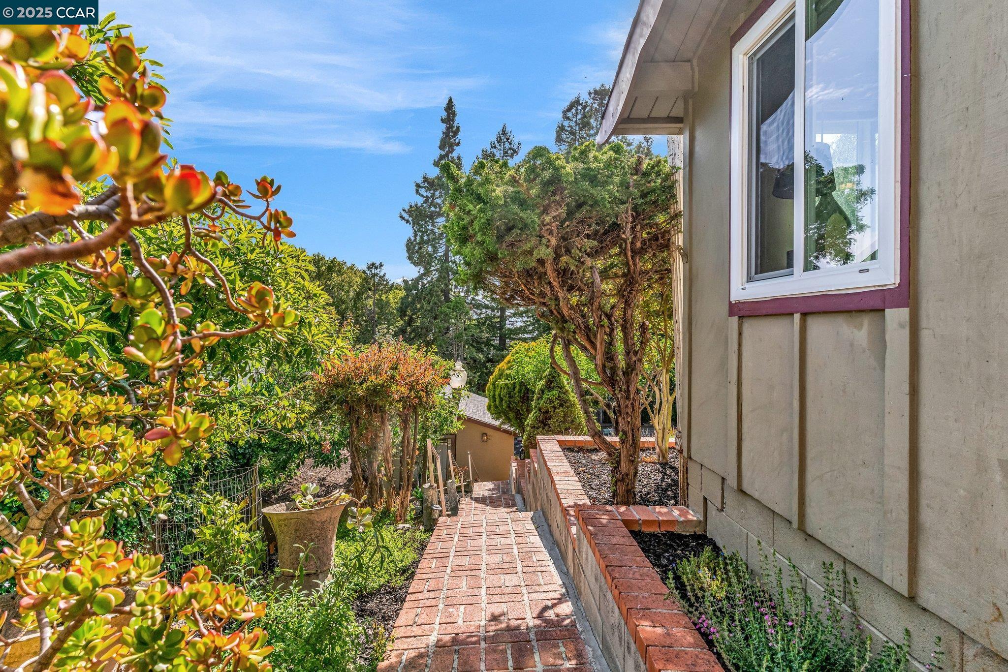 Detail Gallery Image 46 of 60 For 139 Arlington Ave, Kensington,  CA 94707 - 3 Beds | 2 Baths