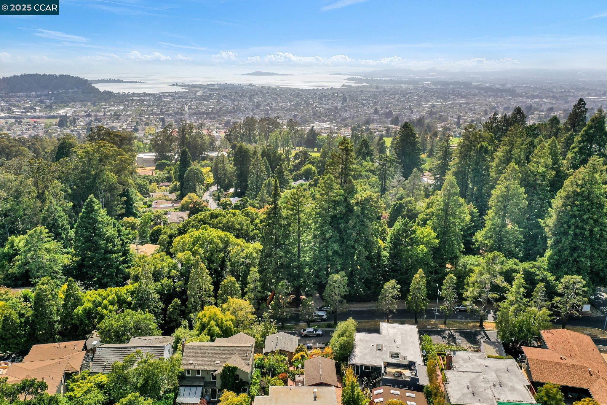 Detail Gallery Image 53 of 60 For 139 Arlington Ave, Kensington,  CA 94707 - 3 Beds | 2 Baths