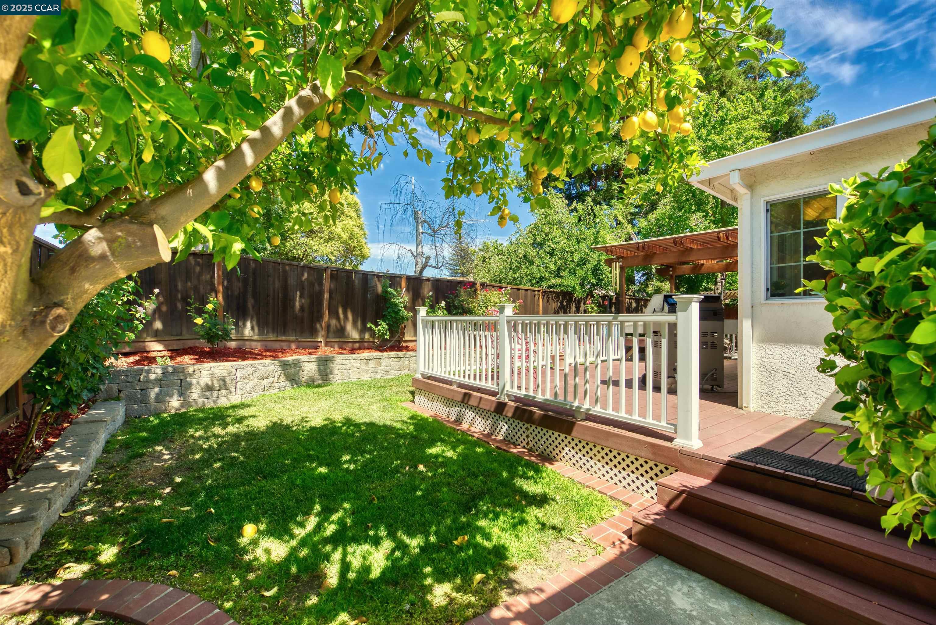 Detail Gallery Image 51 of 56 For 898 Luxury Dr, Concord,  CA 94518 - 4 Beds | 2/1 Baths