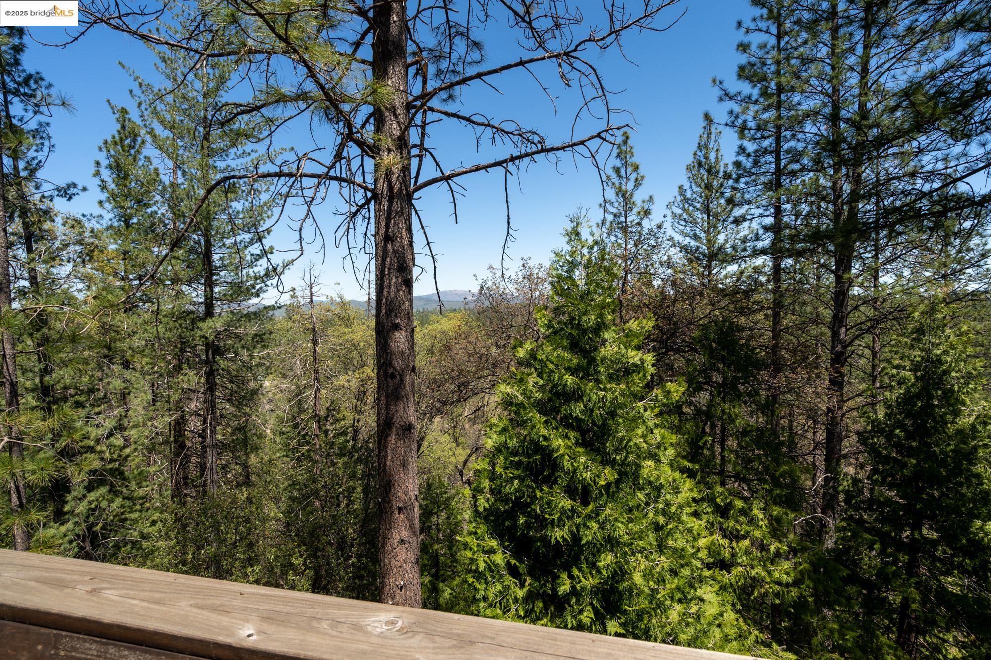 Detail Gallery Image 29 of 48 For 21034 Morgan Dr, Groveland,  CA 95321 - 4 Beds | 3/1 Baths