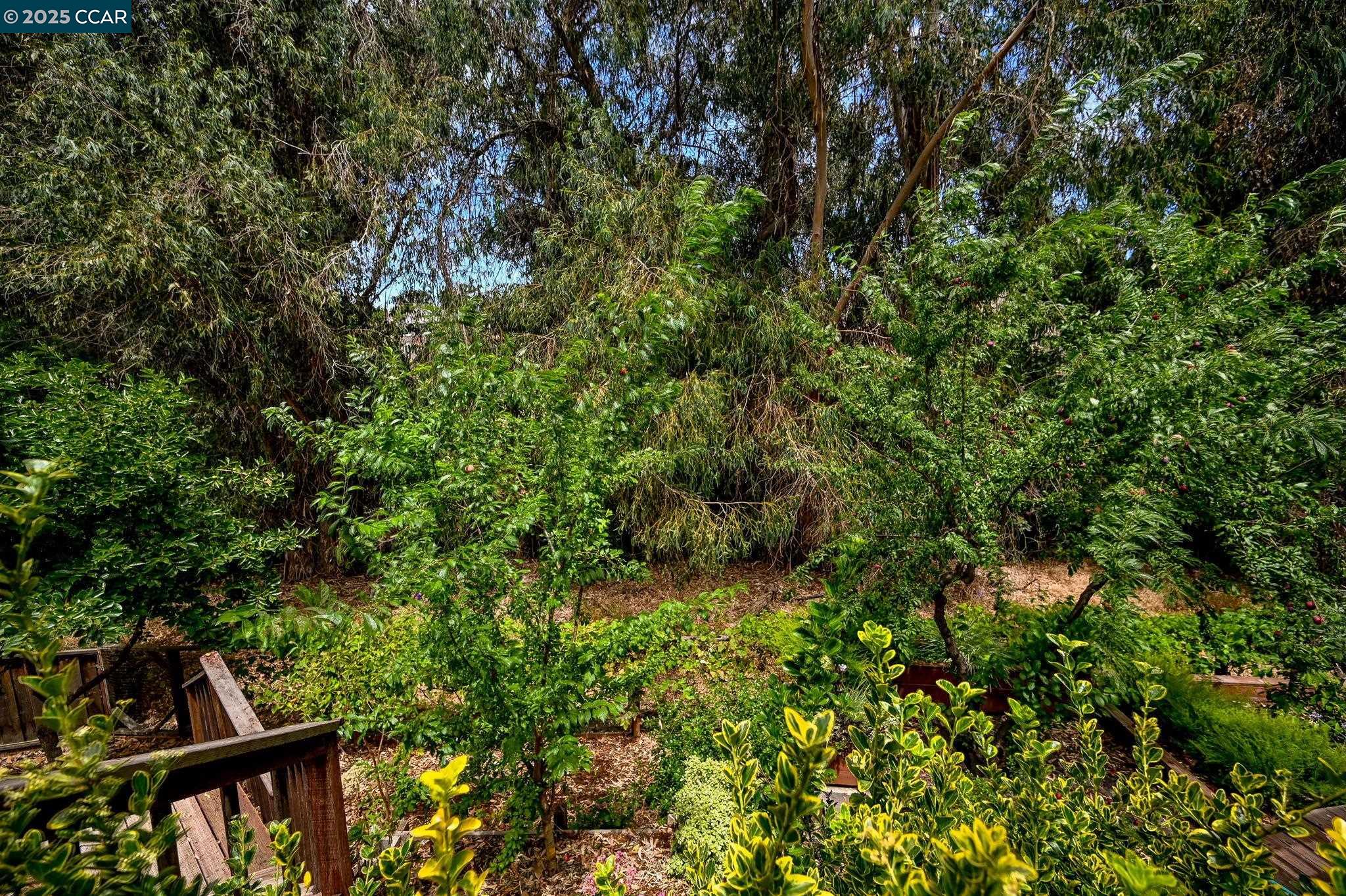 Detail Gallery Image 36 of 38 For 412 Midway Place, Martinez,  CA 94553-4243 - 4 Beds | 3 Baths