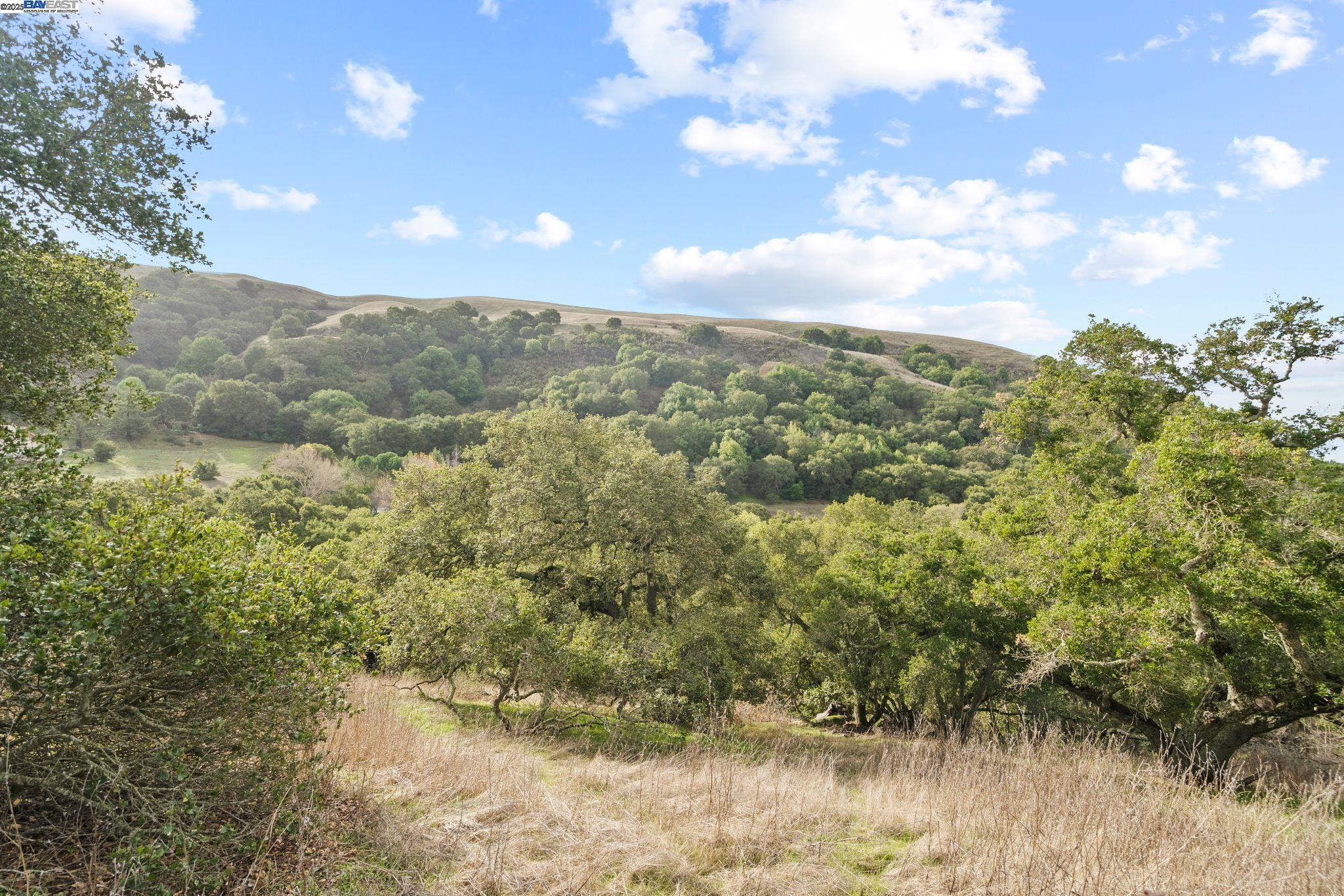 Detail Gallery Image 53 of 59 For 6700 Mill Creek Rd, Fremont,  CA 94539 - 5 Beds | 3 Baths