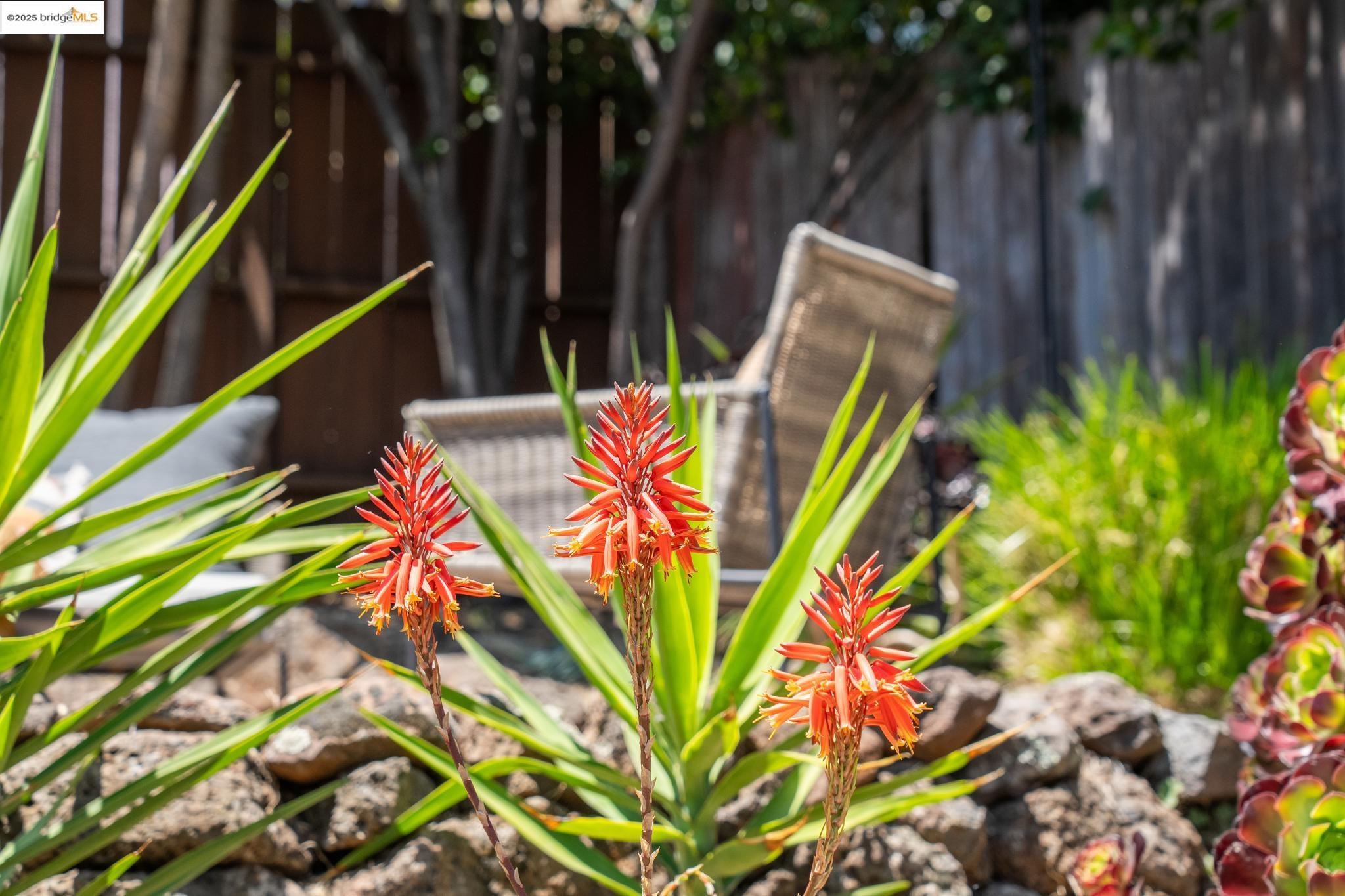 Detail Gallery Image 37 of 60 For 2615 Truman Ave, Oakland,  CA 94605 - 2 Beds | 1 Baths