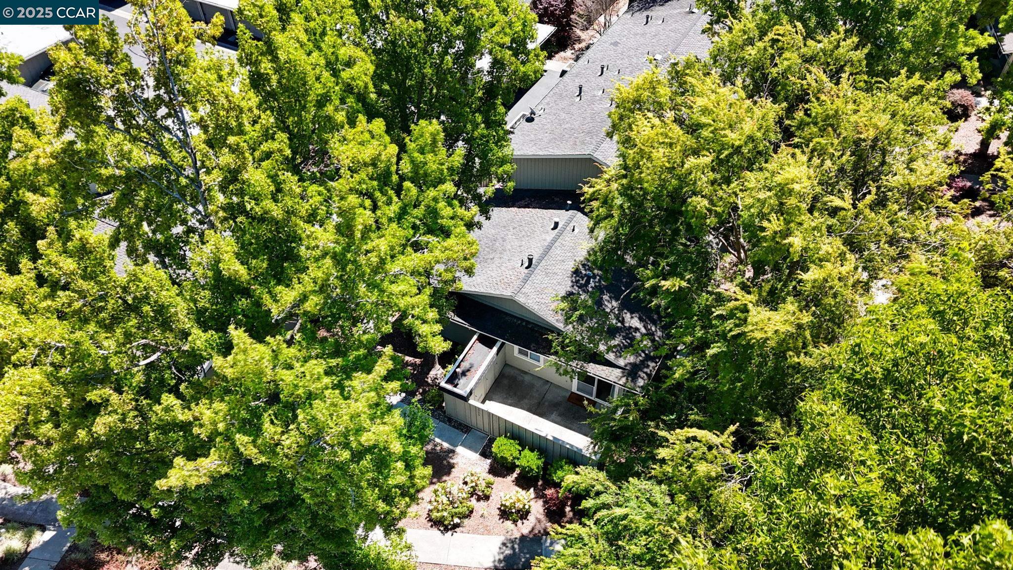 Photo #5: 41103999 Listing 