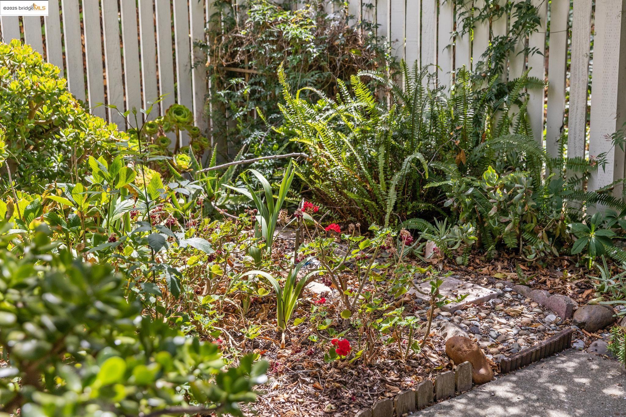 Detail Gallery Image 42 of 46 For 3422 Sunleaf Way, Richmond,  CA 94806 - 3 Beds | 2/1 Baths