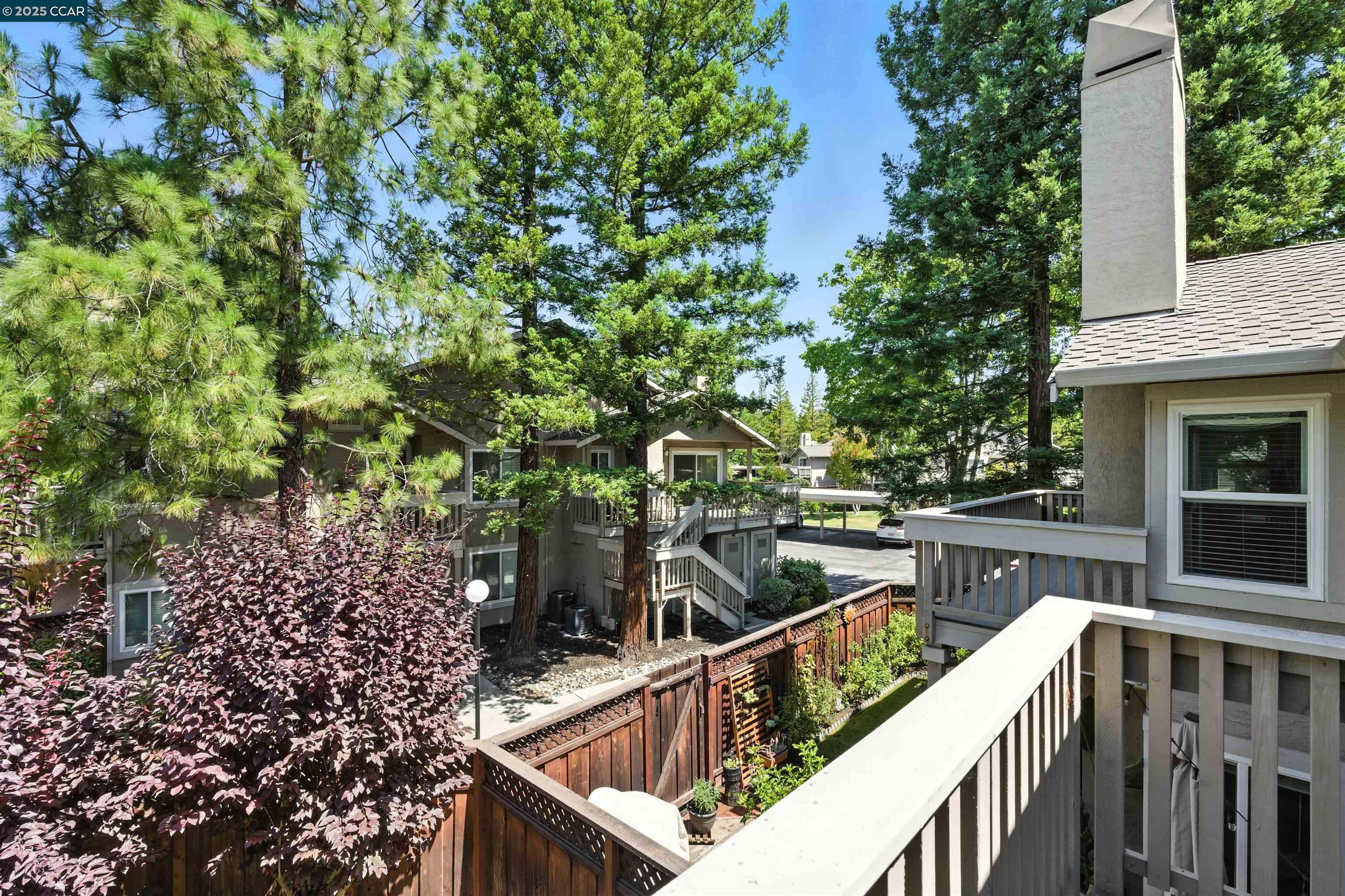 Photo #24: 41104016 Listing: Photo #24