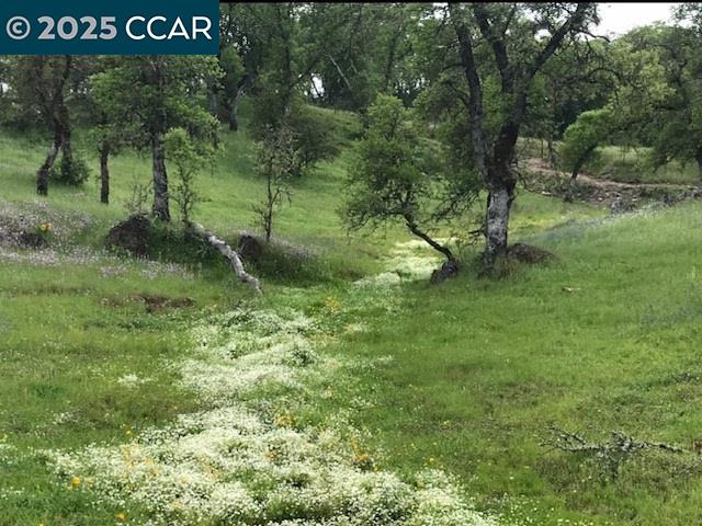 Detail Gallery Image 8 of 28 For 5098 Cantle Road, Copperopolis,  CA 95228 - 3 Beds | 2 Baths