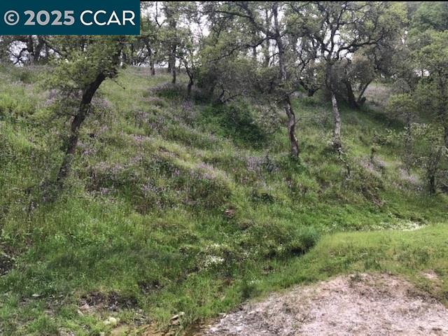 Detail Gallery Image 9 of 28 For 5098 Cantle Road, Copperopolis,  CA 95228 - 3 Beds | 2 Baths