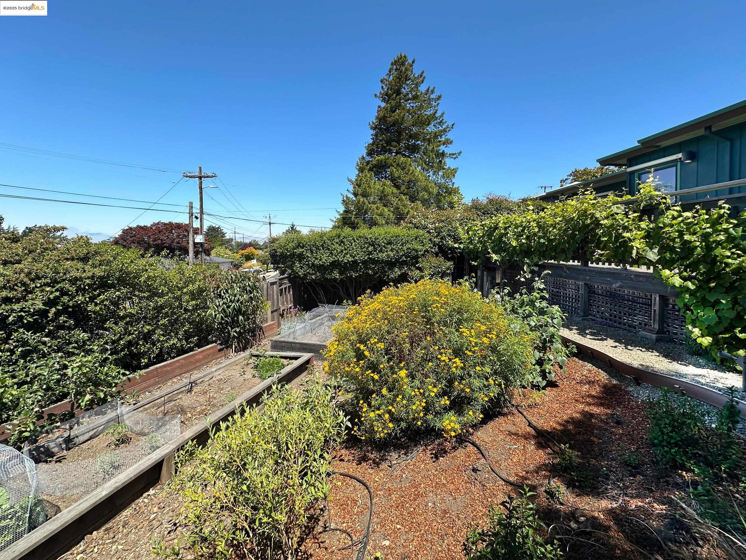 Detail Gallery Image 16 of 54 For 830 Creston, Berkeley,  CA 94708 - 3 Beds | 2 Baths