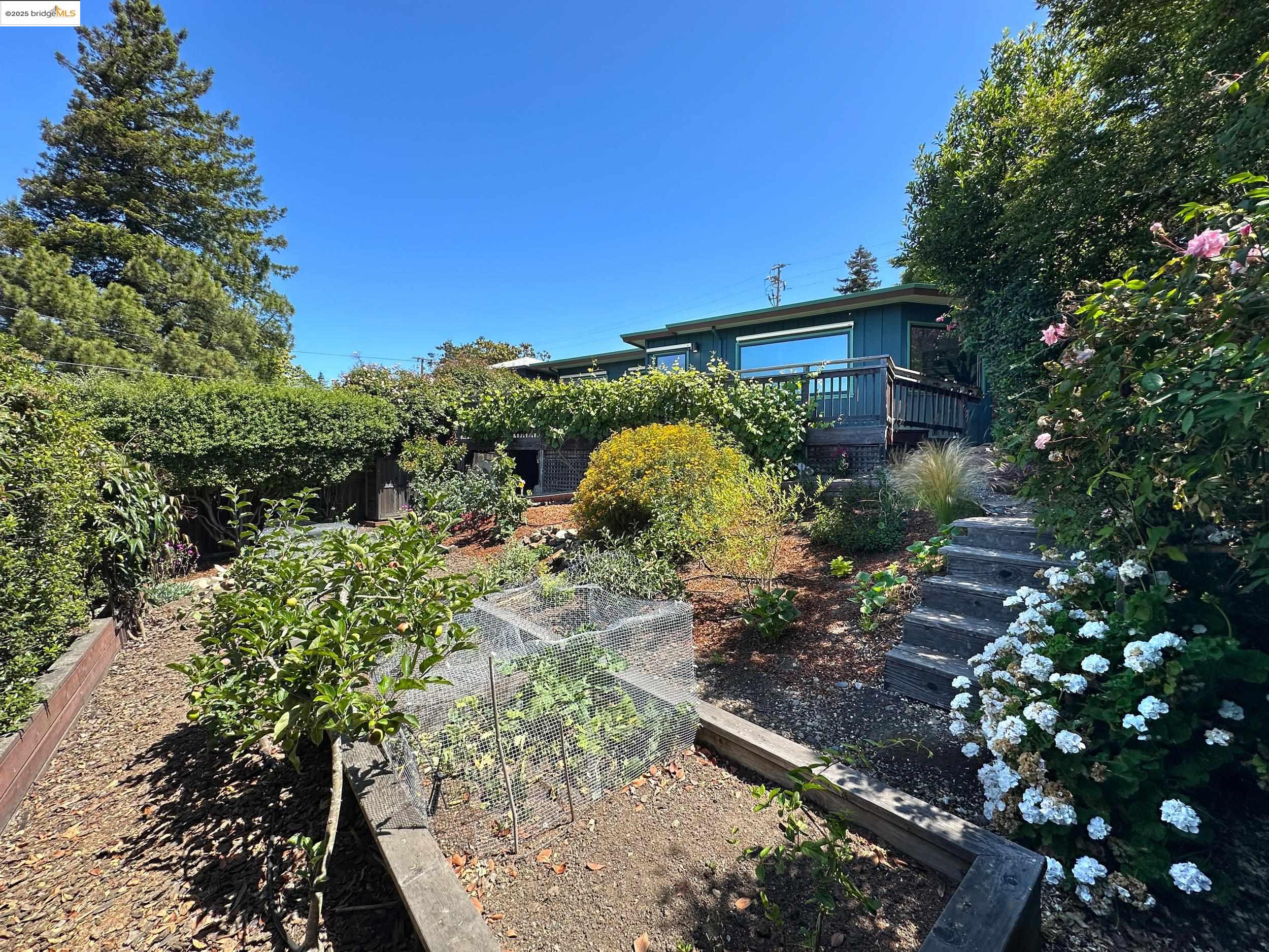 Detail Gallery Image 17 of 54 For 830 Creston, Berkeley,  CA 94708 - 3 Beds | 2 Baths
