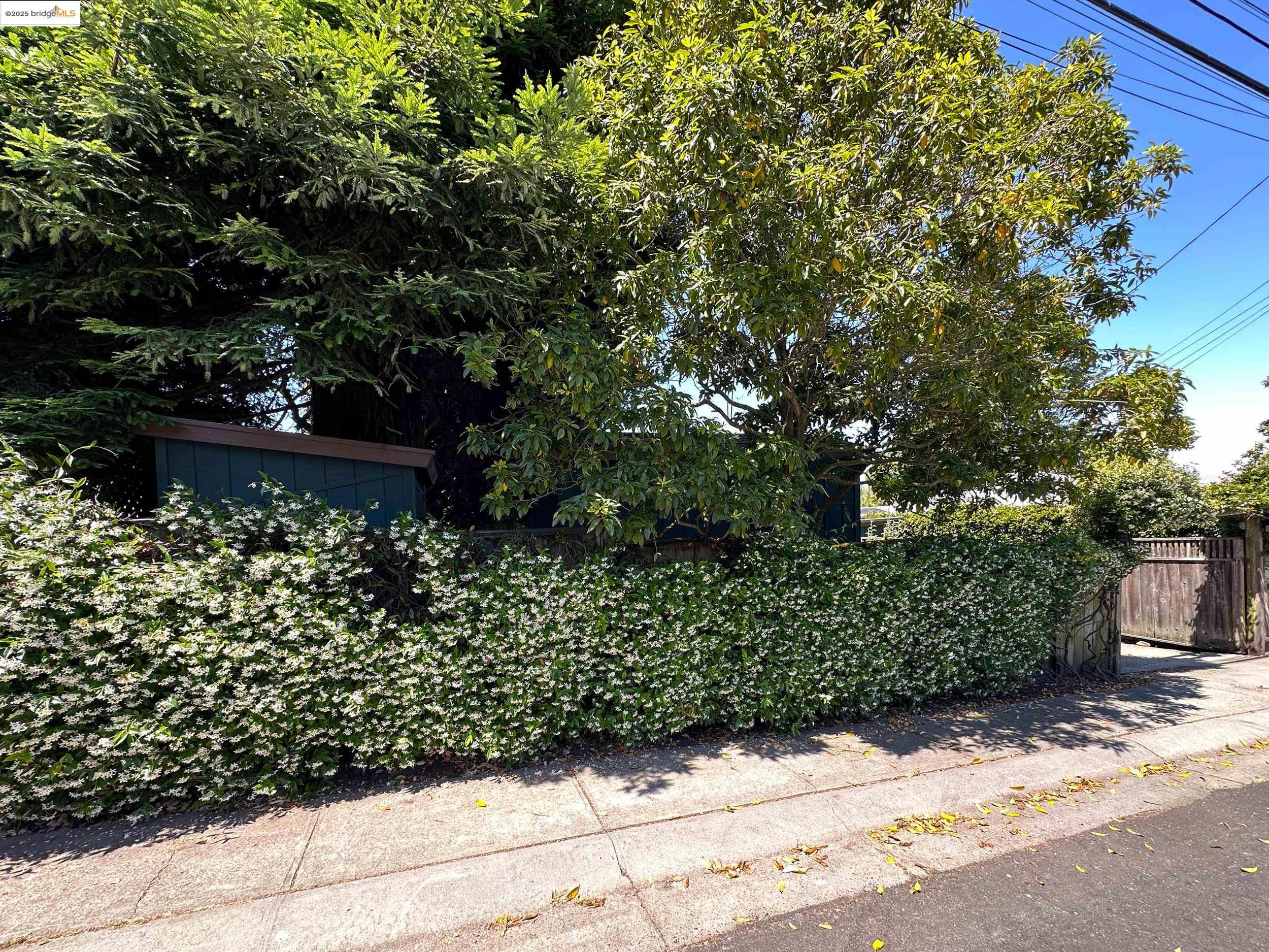 Detail Gallery Image 50 of 54 For 830 Creston, Berkeley,  CA 94708 - 3 Beds | 2 Baths