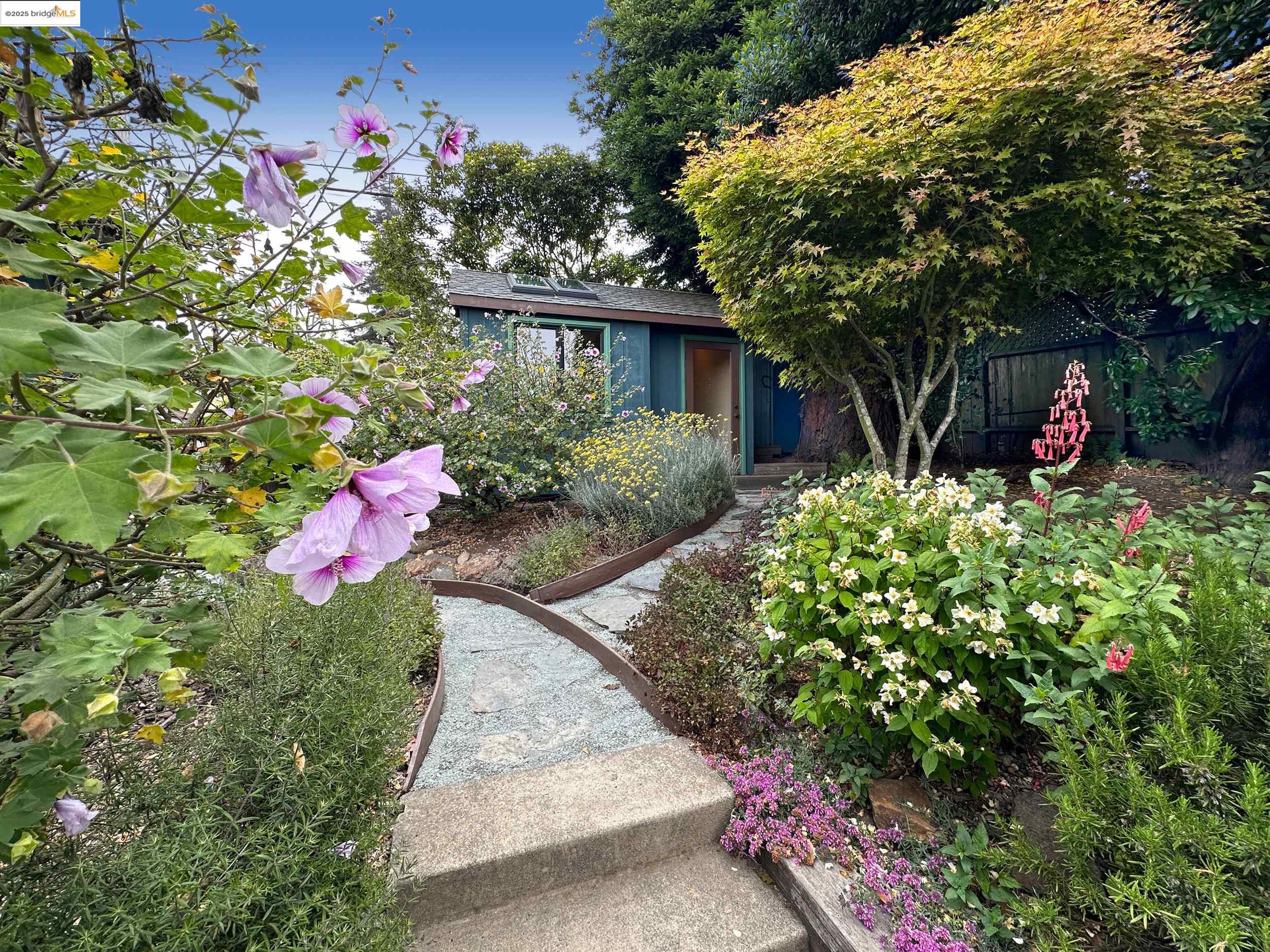 Detail Gallery Image 8 of 54 For 830 Creston, Berkeley,  CA 94708 - 3 Beds | 2 Baths