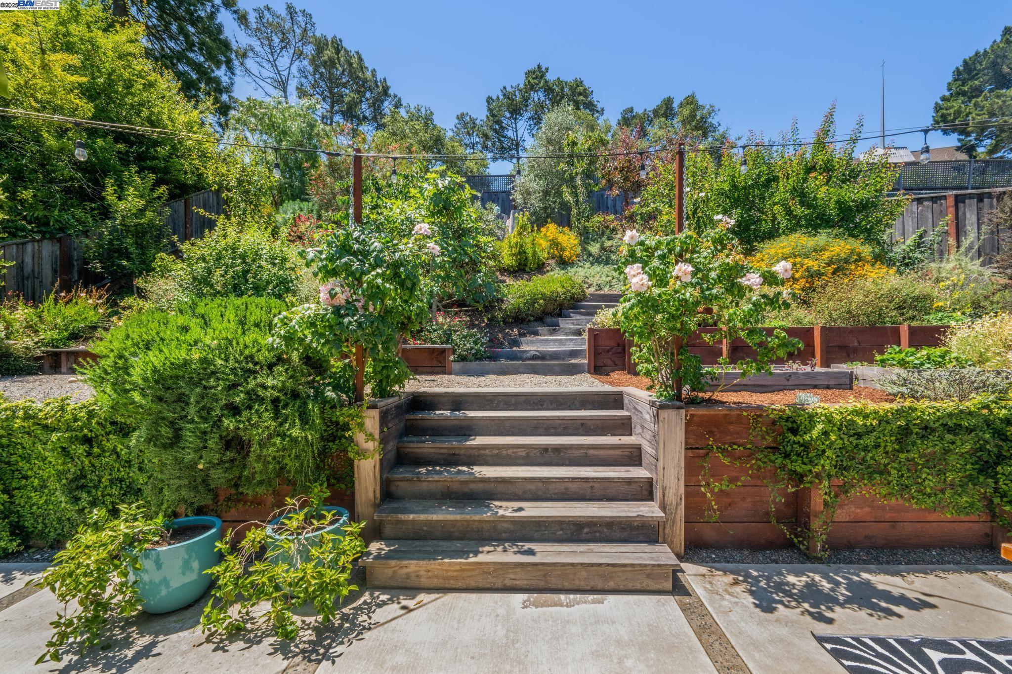 Detail Gallery Image 25 of 59 For 624 Parkside Court, Kensington,  CA 94708 - 3 Beds | 2/1 Baths