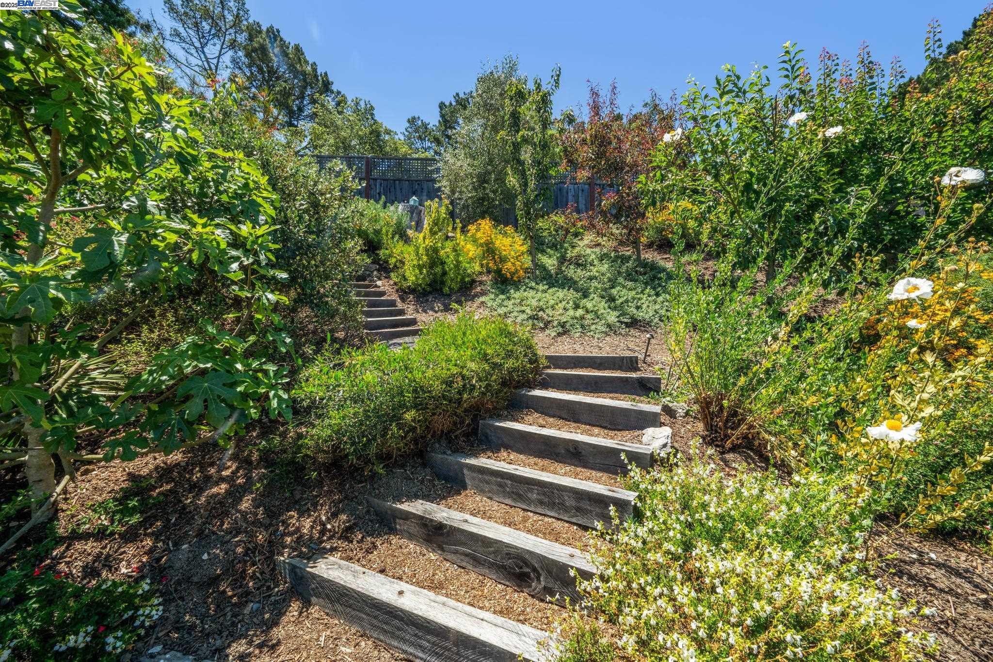 Detail Gallery Image 29 of 59 For 624 Parkside Court, Kensington,  CA 94708 - 3 Beds | 2/1 Baths