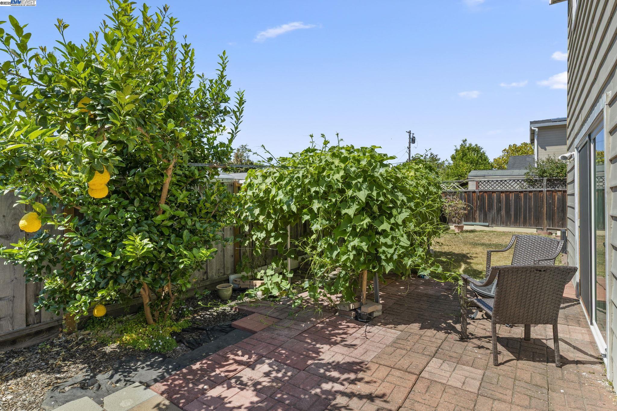Detail Gallery Image 53 of 59 For 35421 Cleremont Dr, Newark,  CA 94560 - 4 Beds | 3 Baths