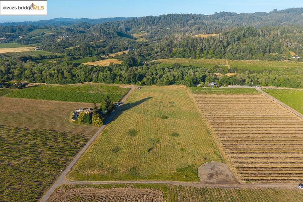 Detail Gallery Image 15 of 23 For 838 Dry Creek, Healdsburg,  CA 95448 - – Beds | – Baths