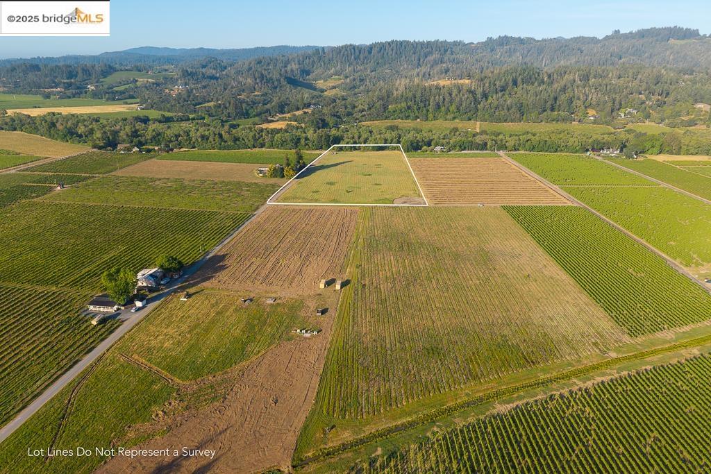 Detail Gallery Image 16 of 23 For 838 Dry Creek, Healdsburg,  CA 95448 - – Beds | – Baths