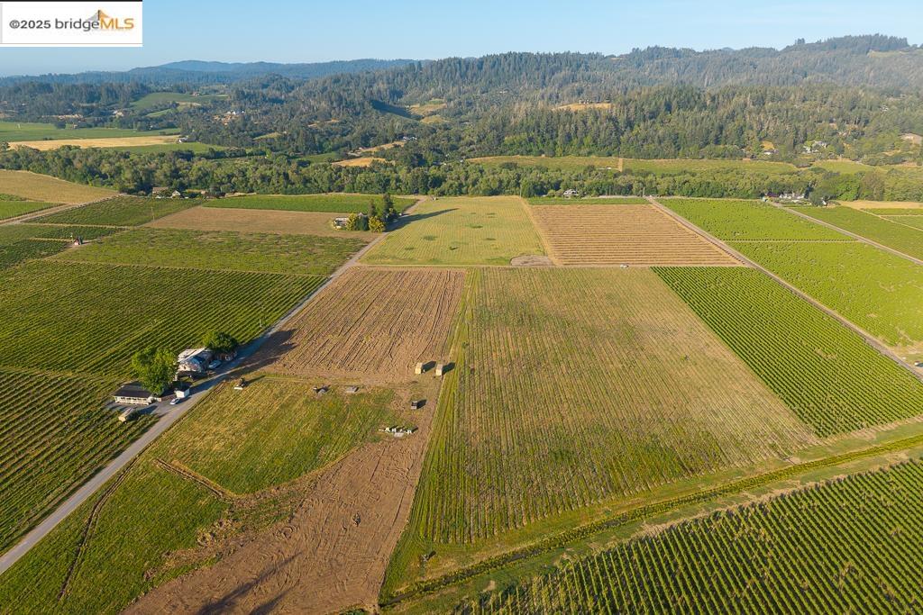 Detail Gallery Image 17 of 23 For 838 Dry Creek, Healdsburg,  CA 95448 - – Beds | – Baths