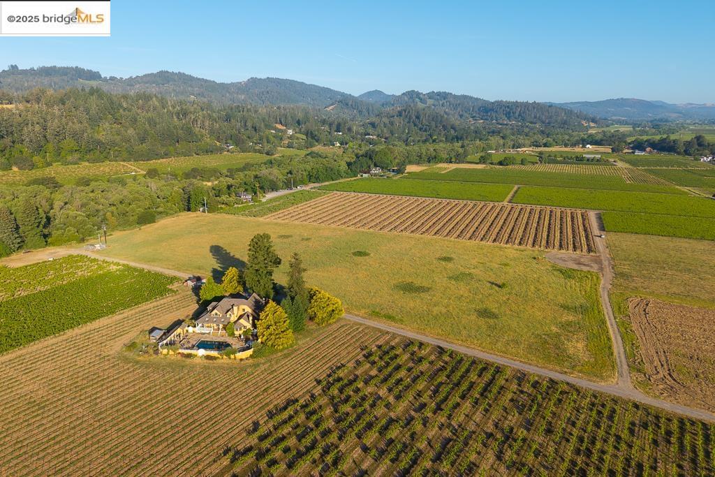 Detail Gallery Image 19 of 23 For 838 Dry Creek, Healdsburg,  CA 95448 - – Beds | – Baths