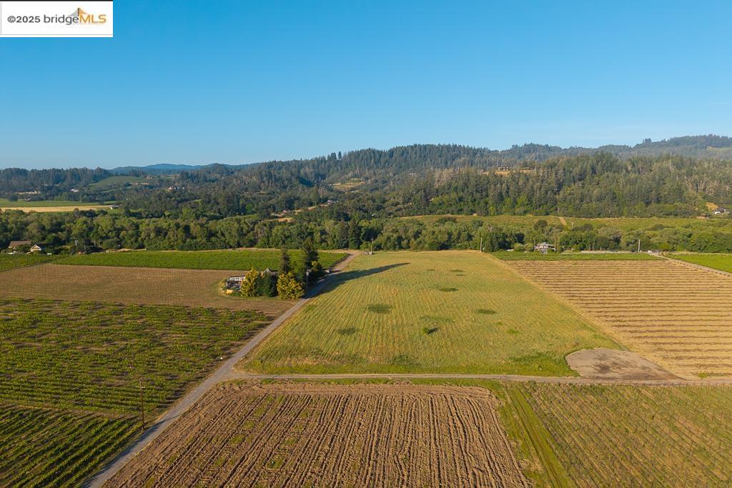 Detail Gallery Image 3 of 23 For 838 Dry Creek, Healdsburg,  CA 95448 - – Beds | – Baths