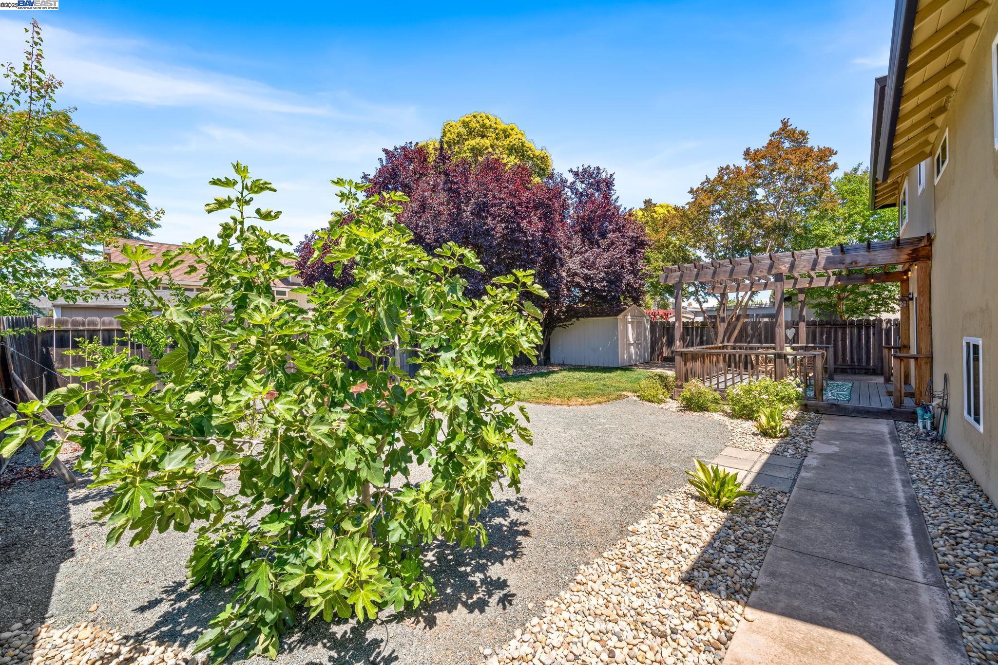 Detail Gallery Image 34 of 53 For 646 Brighton Way, Livermore,  CA 94551 - 5 Beds | 2/1 Baths