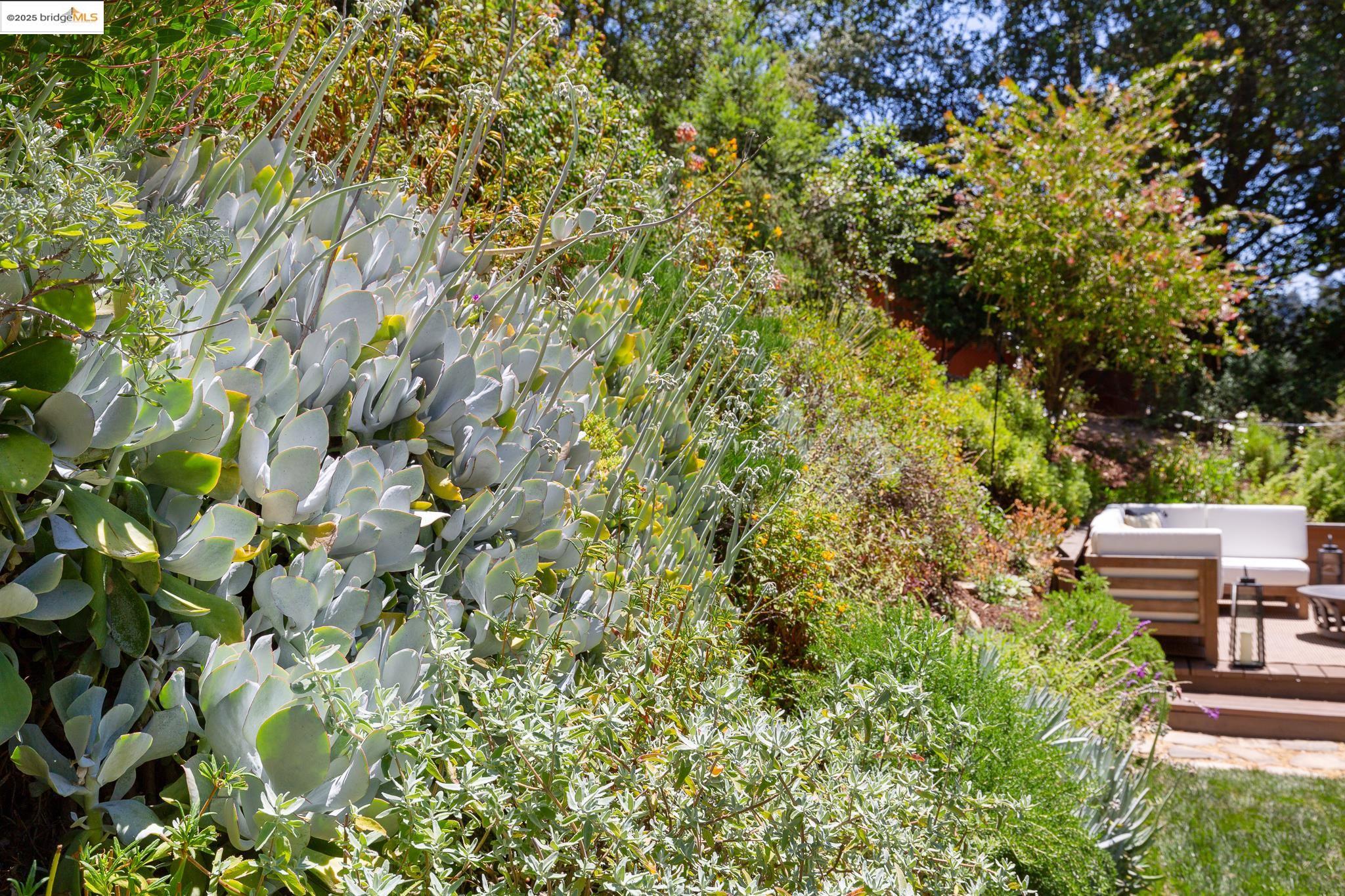 Detail Gallery Image 34 of 59 For 2072 Arrowhead Dr, Oakland,  CA 94611 - 3 Beds | 2/1 Baths