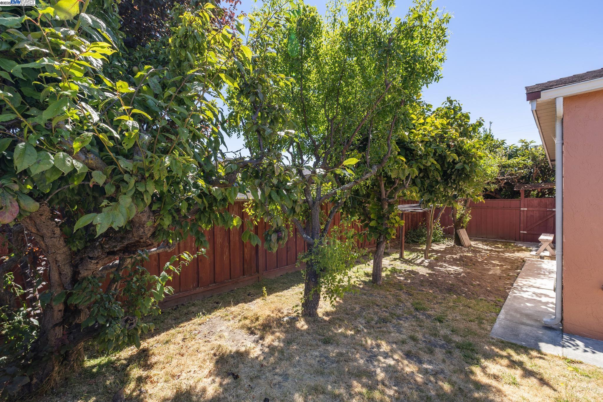 Detail Gallery Image 54 of 58 For 1943 Vining Dr, San Leandro,  CA 94579 - 3 Beds | 2 Baths