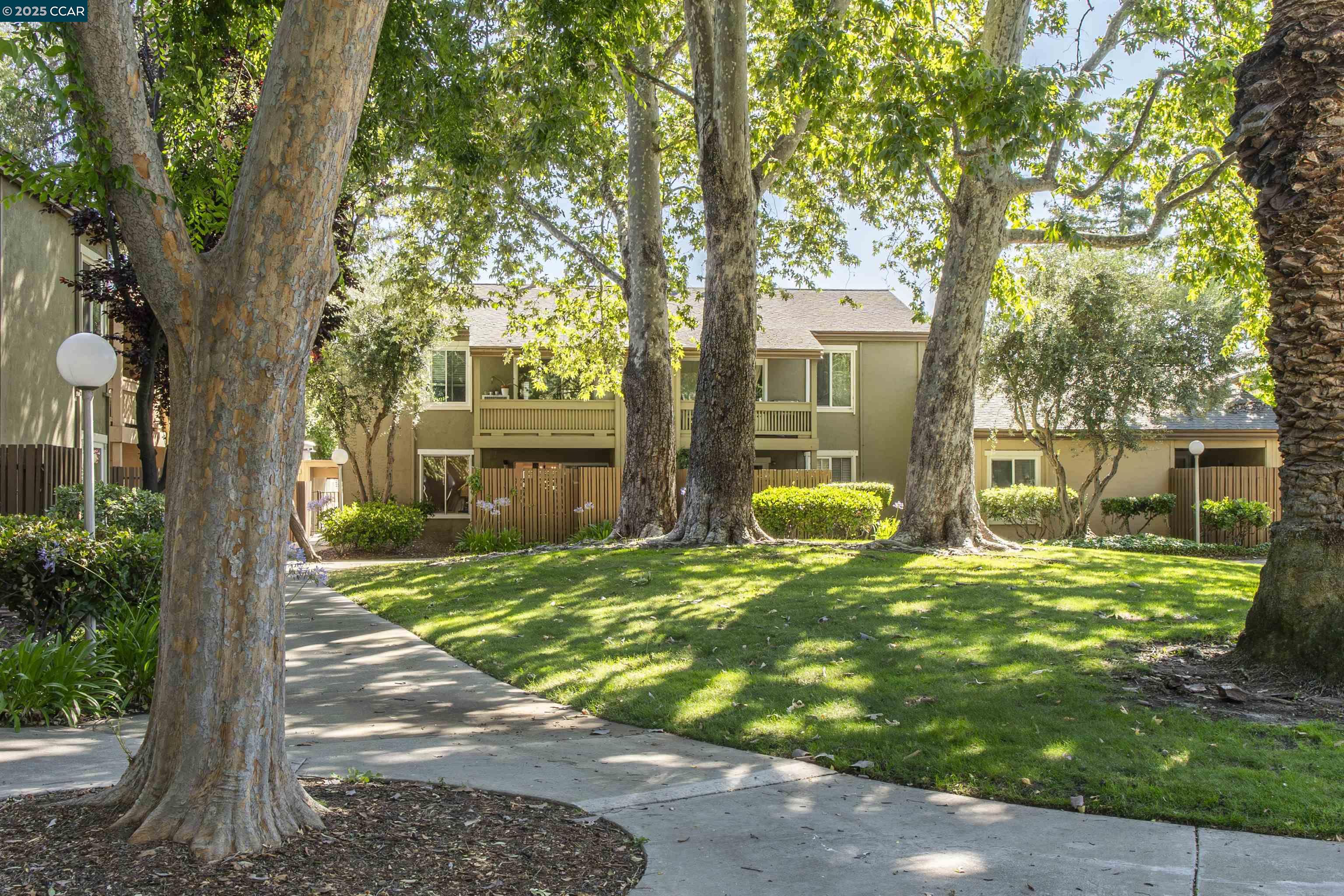 Photo #33: 41104184 Listing: Photo #33