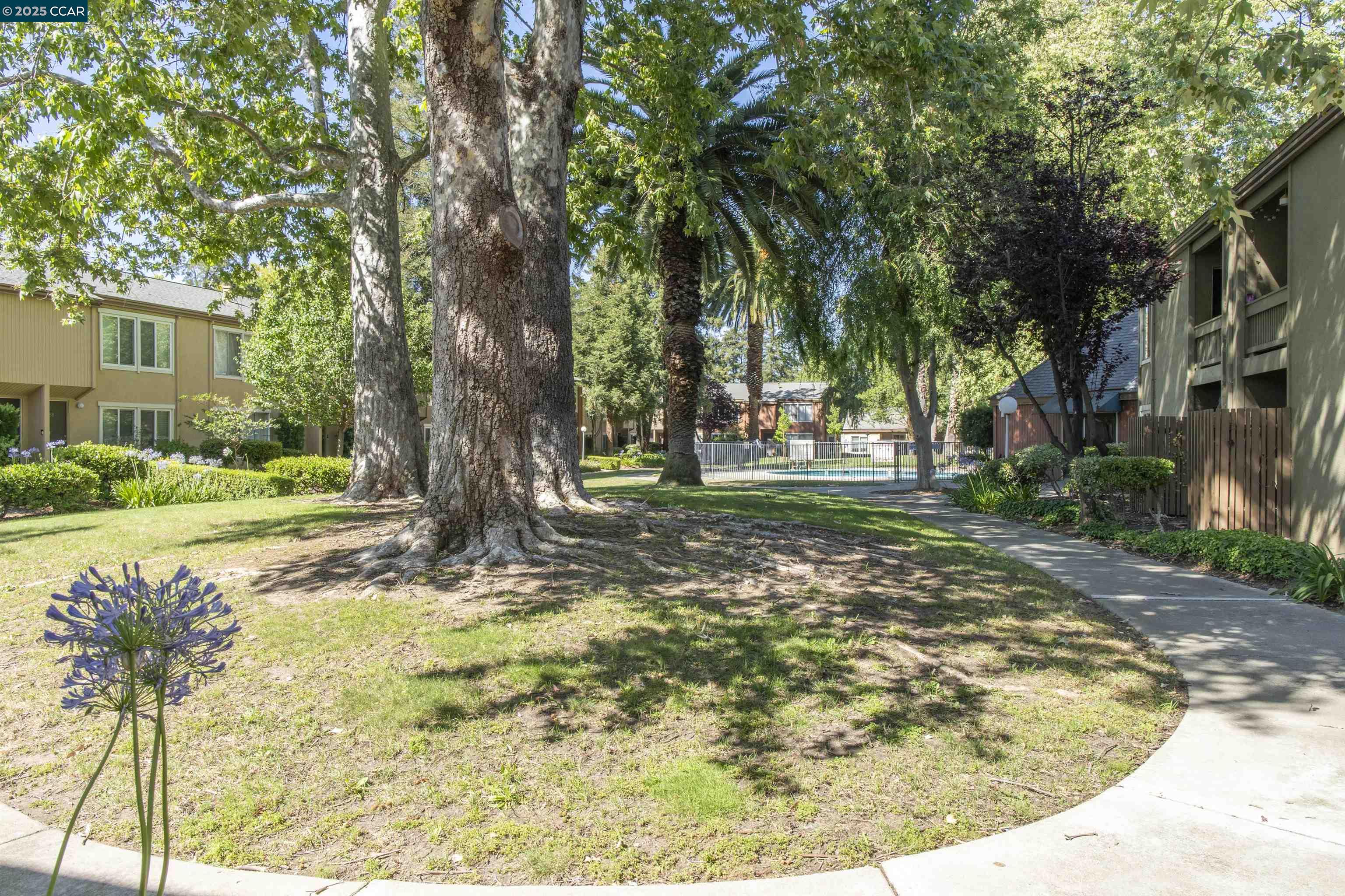 Photo #36: 41104184 Listing: Photo #36