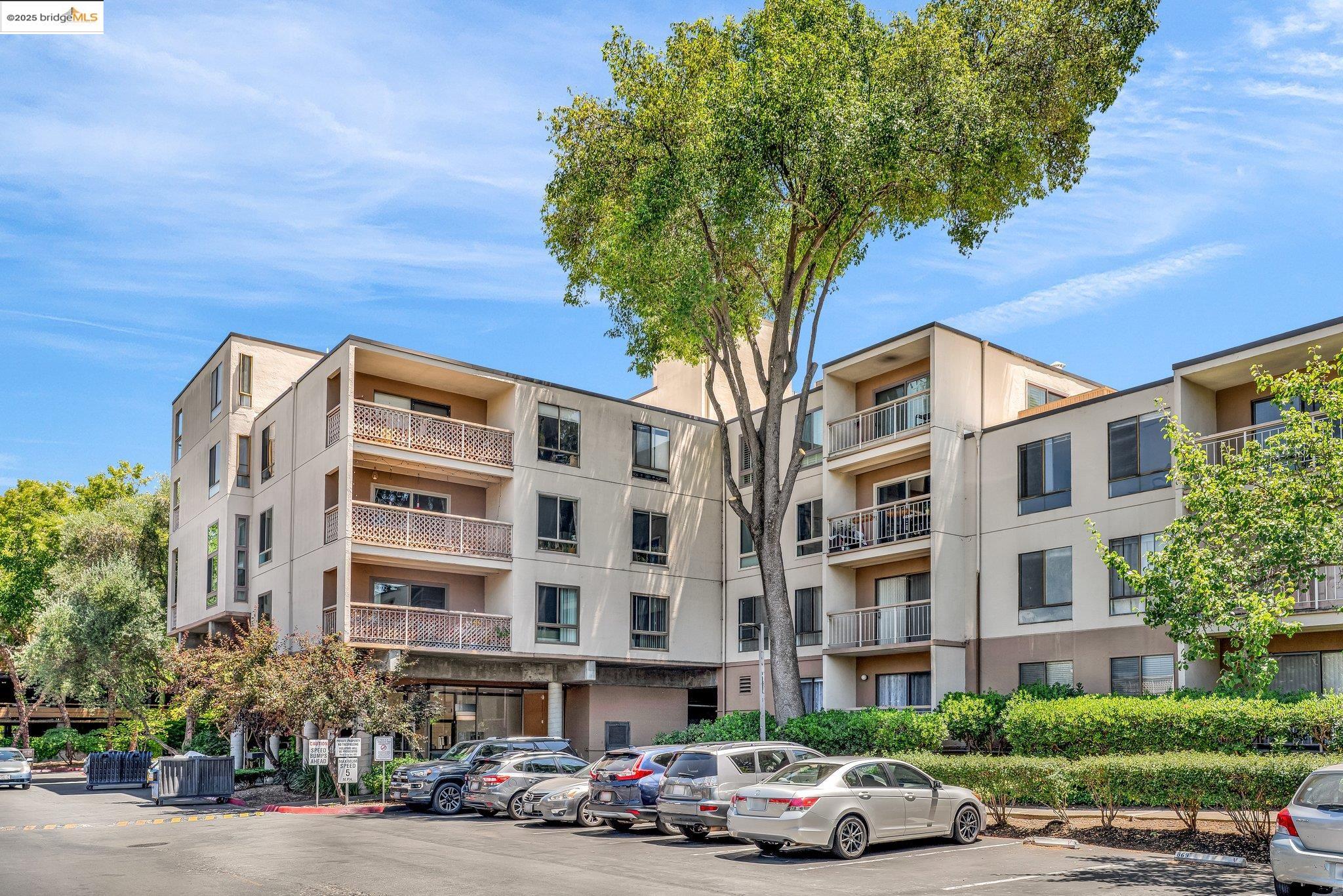 Detail Gallery Image 40 of 53 For 470 N N Civic Drive #105,  Walnut Creek,  CA 94596 - 1 Beds | 1 Baths