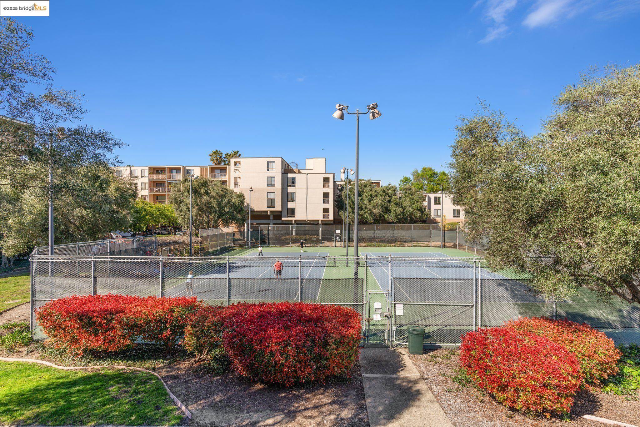 Detail Gallery Image 42 of 53 For 470 N N Civic Drive #105,  Walnut Creek,  CA 94596 - 1 Beds | 1 Baths