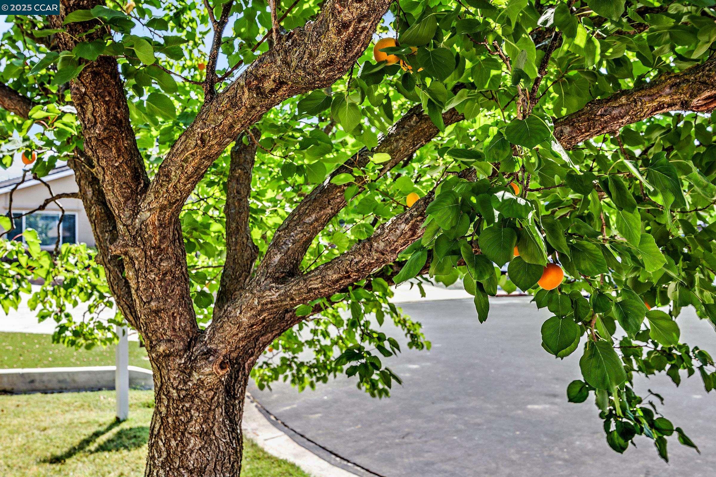 Detail Gallery Image 38 of 39 For 6129 Crater Lake Ct, Pleasanton,  CA 94588 - 6 Beds | 3/1 Baths