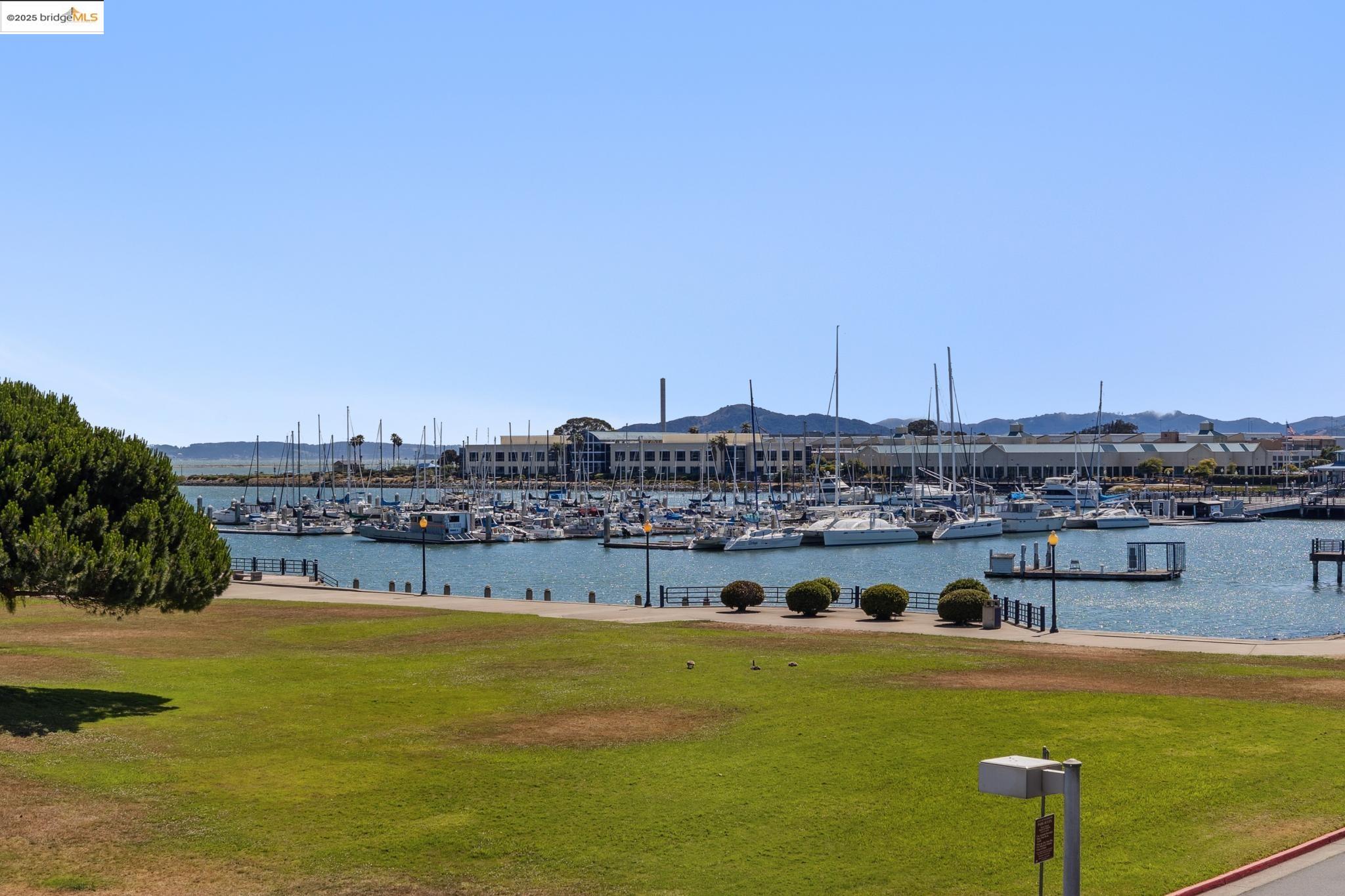Photo #6: 41104203 Listing 