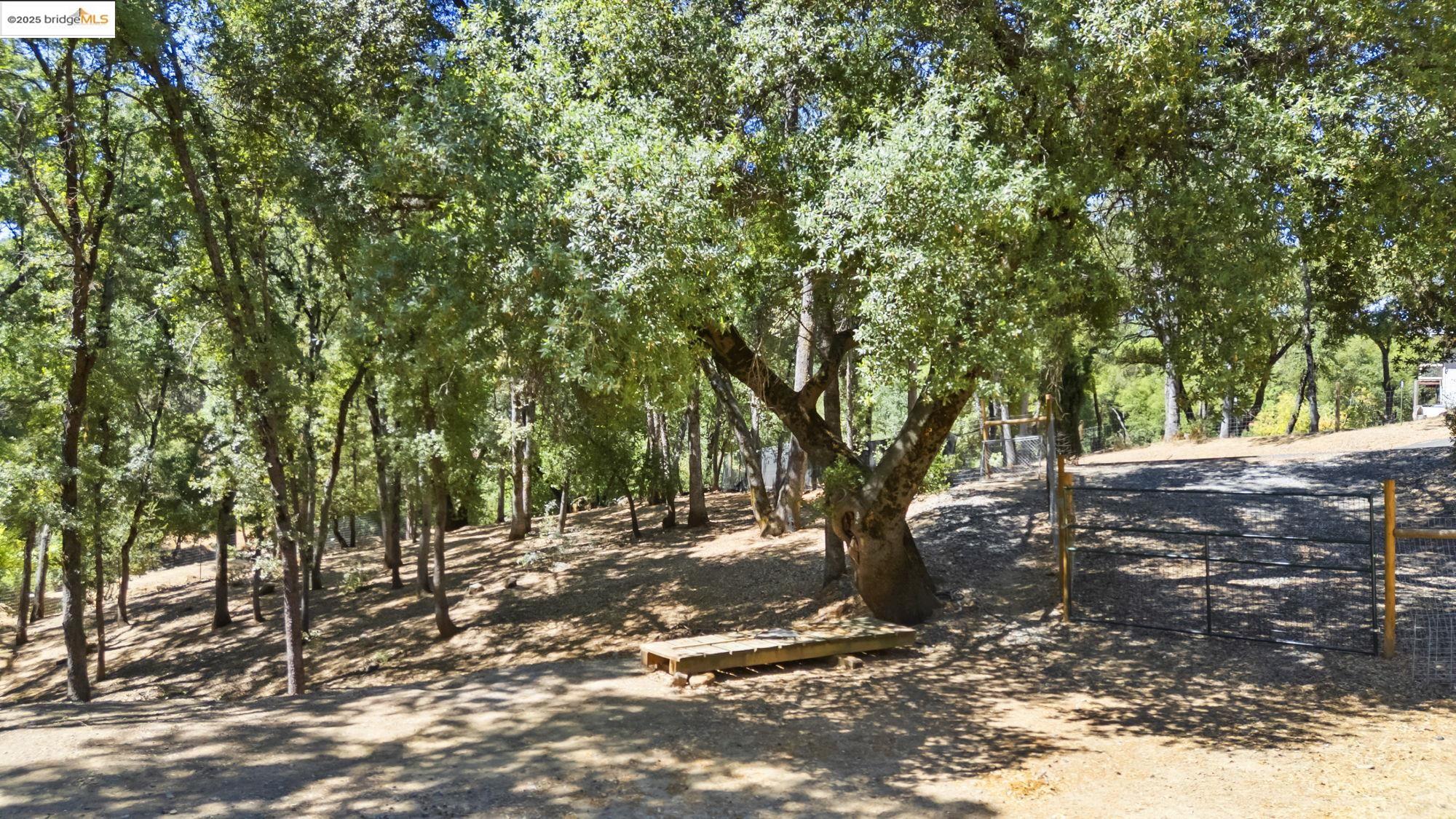Detail Gallery Image 36 of 50 For 14147 Alder Ln, Sonora,  CA 95370 - 3 Beds | 2/1 Baths