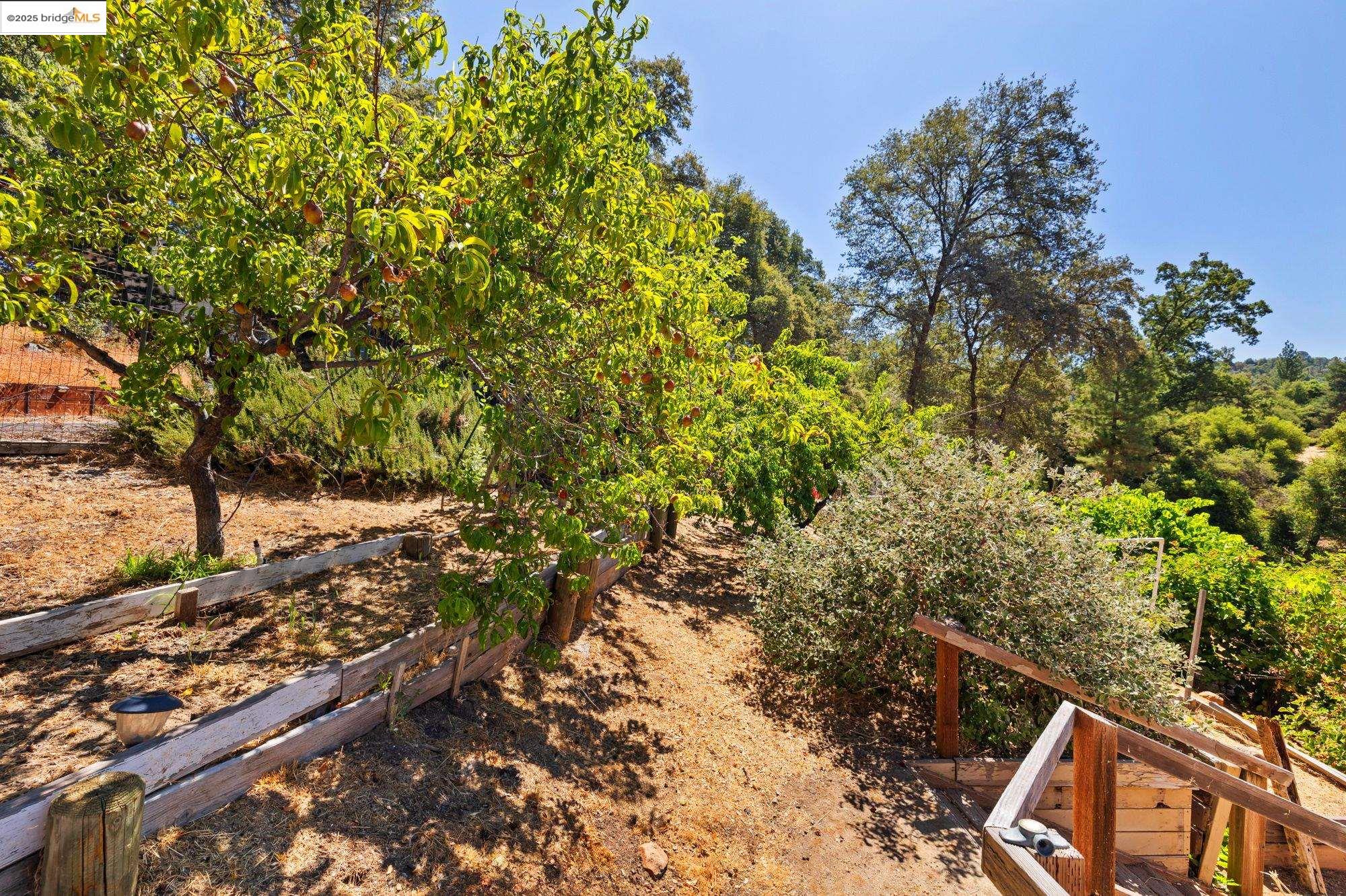 Detail Gallery Image 41 of 50 For 14147 Alder Ln, Sonora,  CA 95370 - 3 Beds | 2/1 Baths