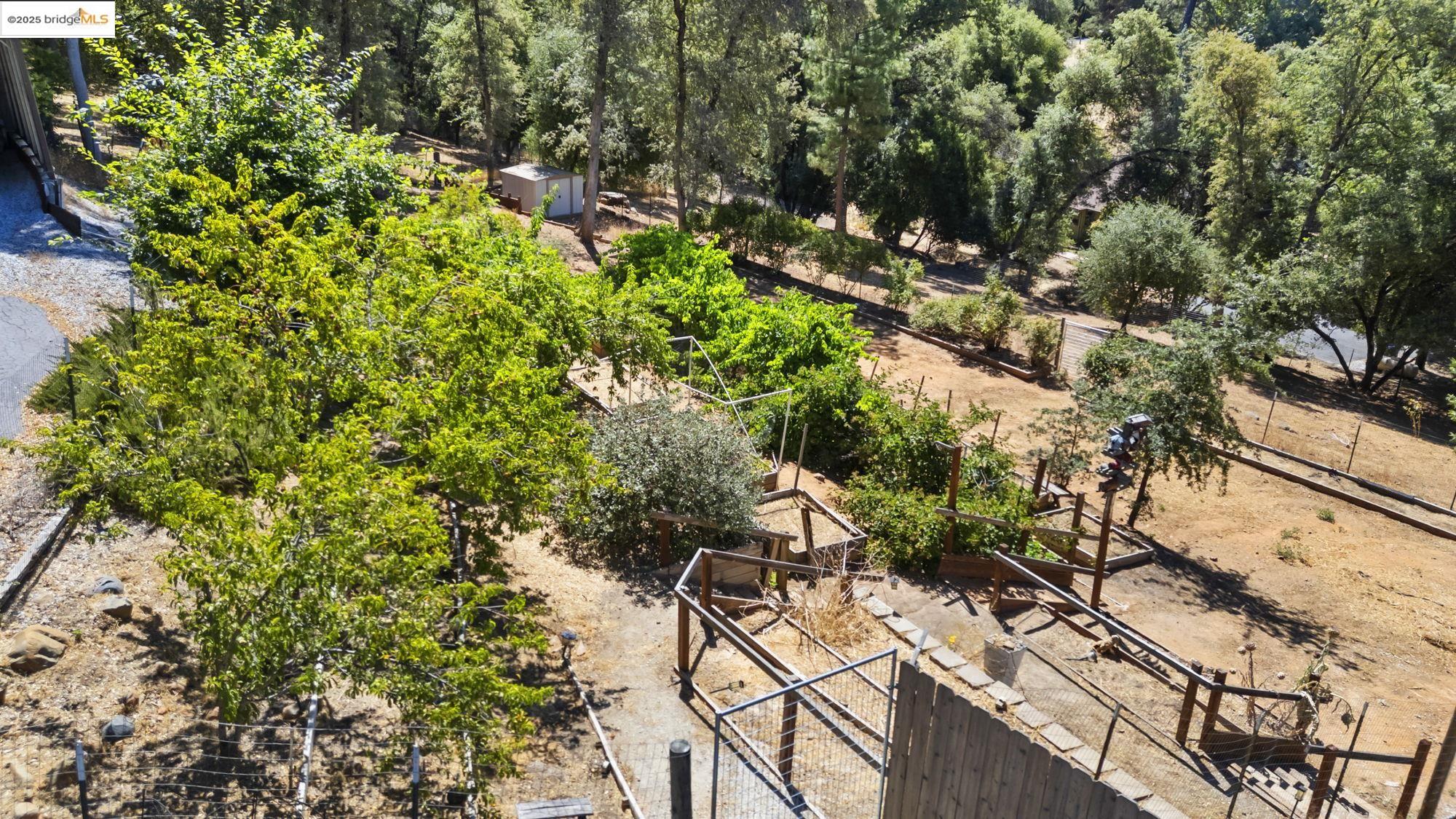 Detail Gallery Image 43 of 50 For 14147 Alder Ln, Sonora,  CA 95370 - 3 Beds | 2/1 Baths