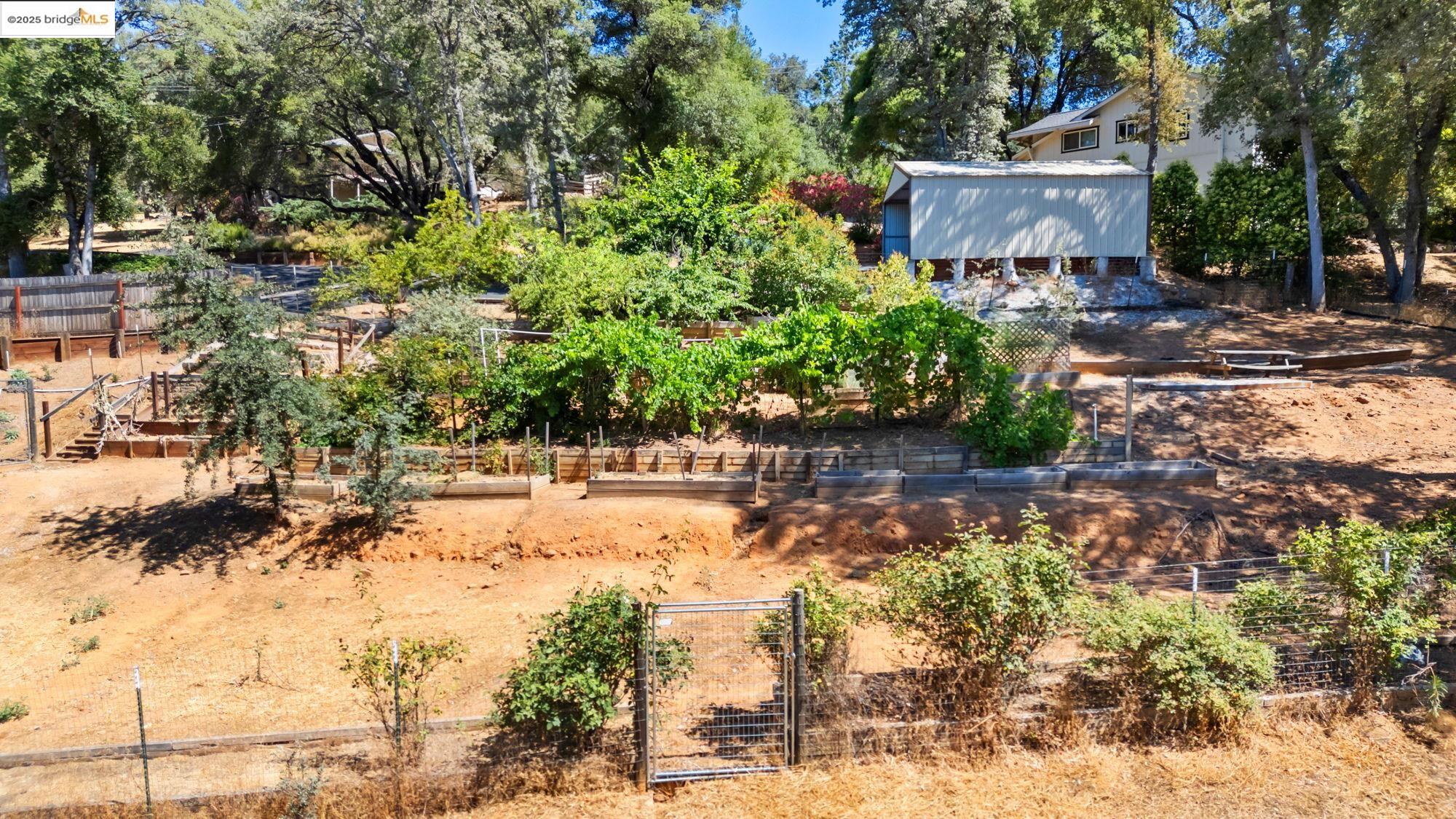 Detail Gallery Image 44 of 50 For 14147 Alder Ln, Sonora,  CA 95370 - 3 Beds | 2/1 Baths