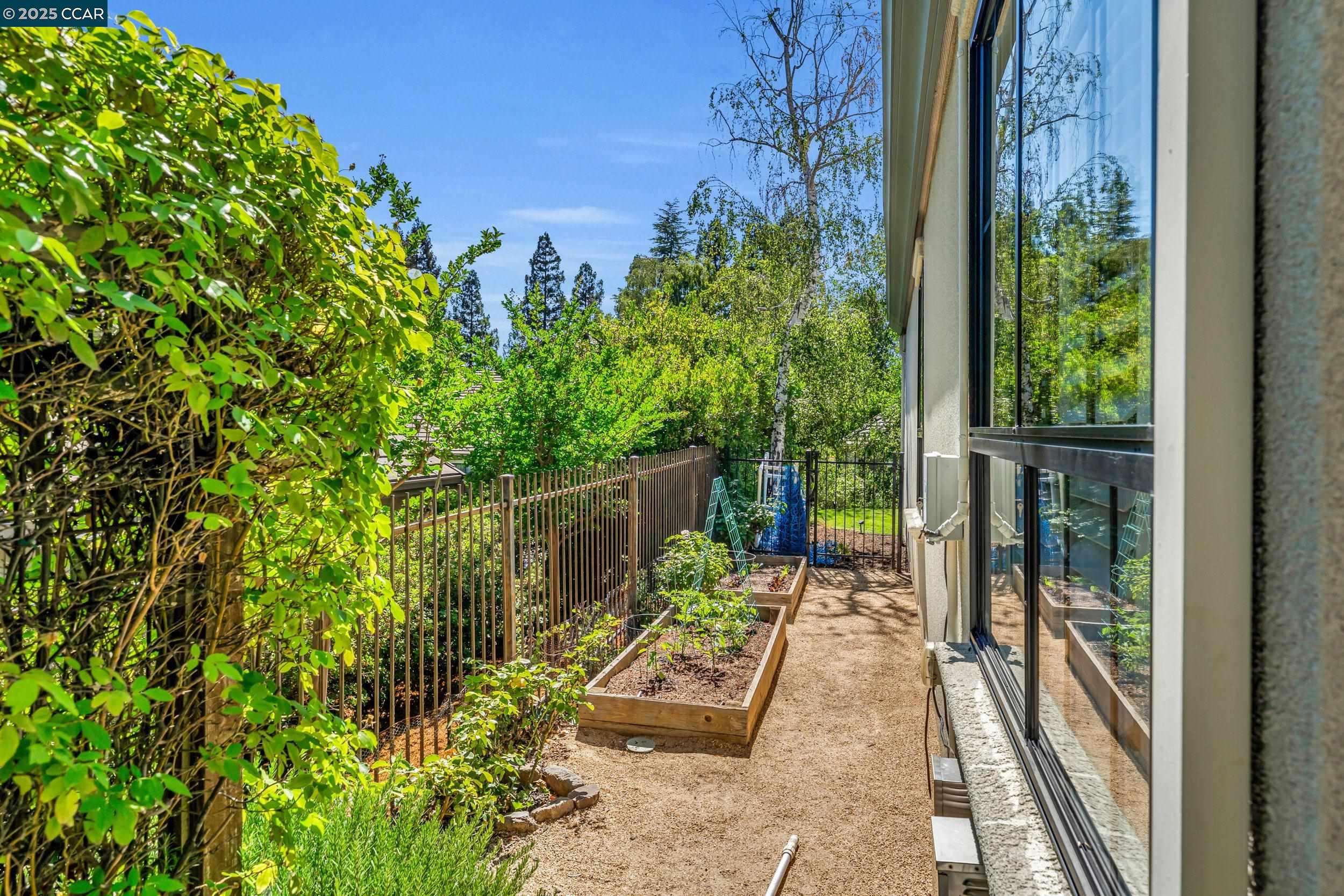 Detail Gallery Image 49 of 59 For 40 Oak Trail Ct, Alamo,  CA 94507 - 4 Beds | 3/1 Baths