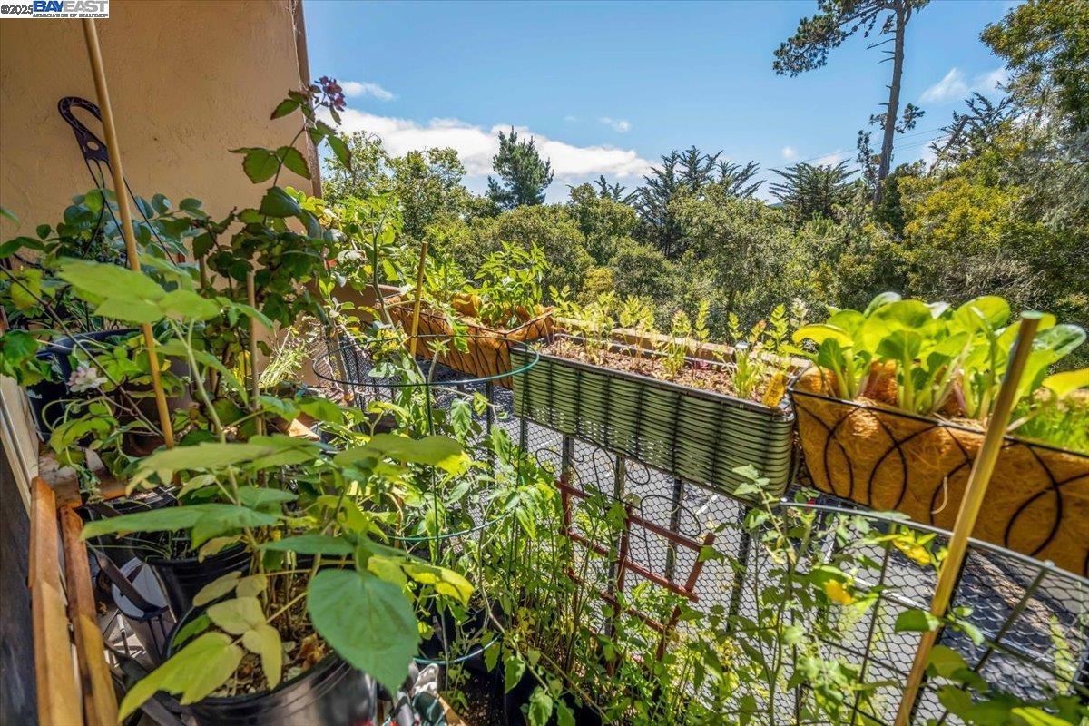 Detail Gallery Image 15 of 22 For 4206 Golden Oaks Ln, Monterey,  CA 93940 - 1 Beds | 1 Baths