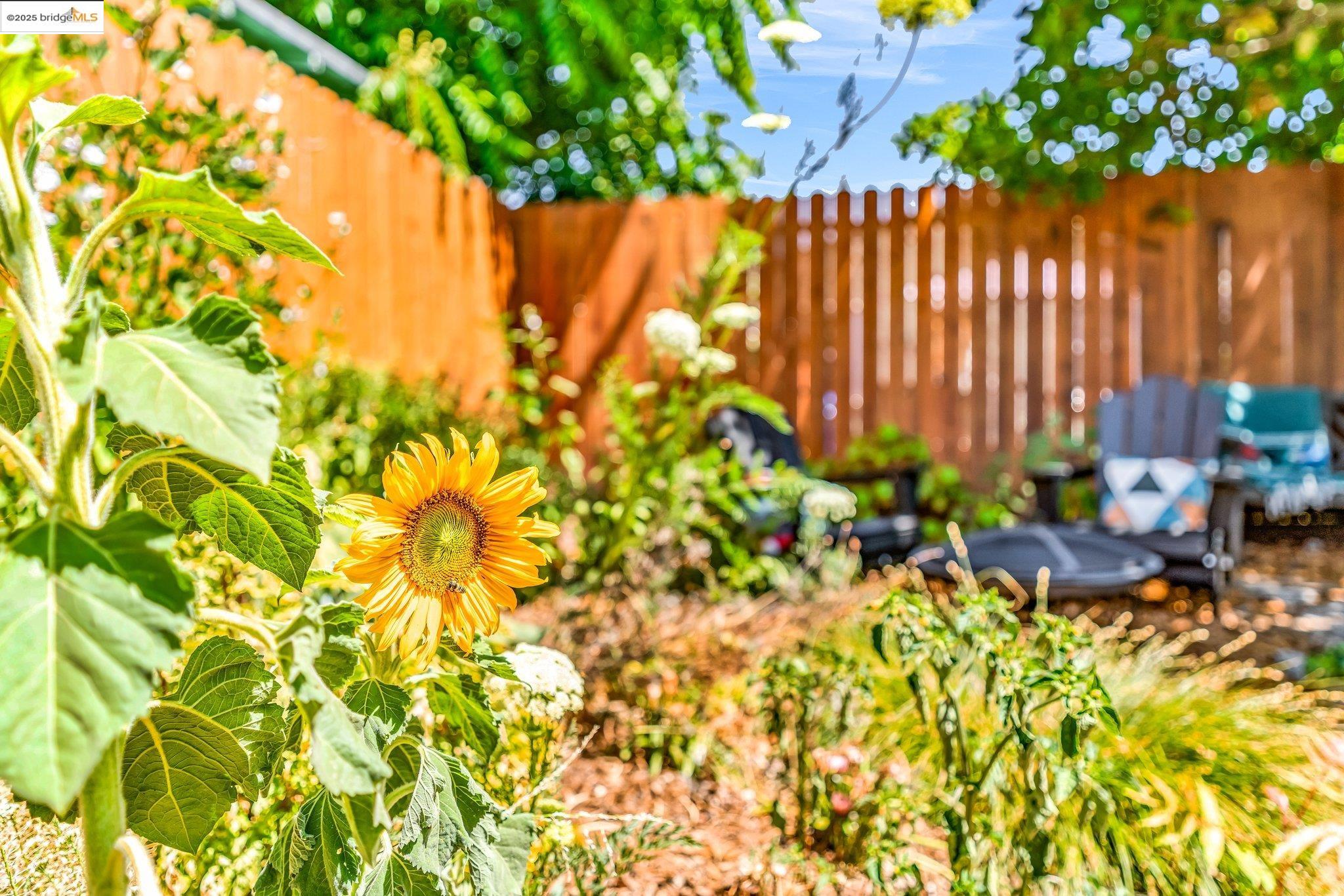 Detail Gallery Image 41 of 57 For 2442 Havenscourt Blvd, Oakland,  CA 94605 - 2 Beds | 1 Baths