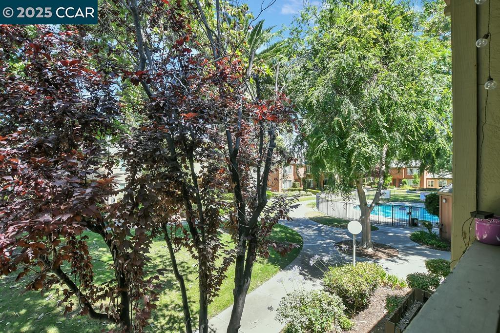 Photo #19: 41104281 Listing: Photo #19