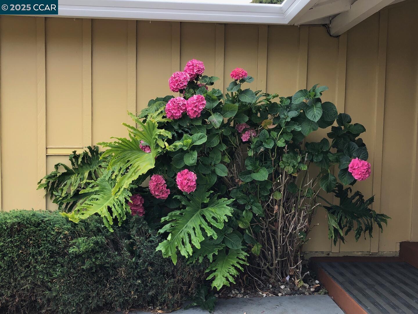 Detail Gallery Image 4 of 49 For 3088 Flannery Road, San Pablo,  CA 94806-1508 - 3 Beds | 2 Baths