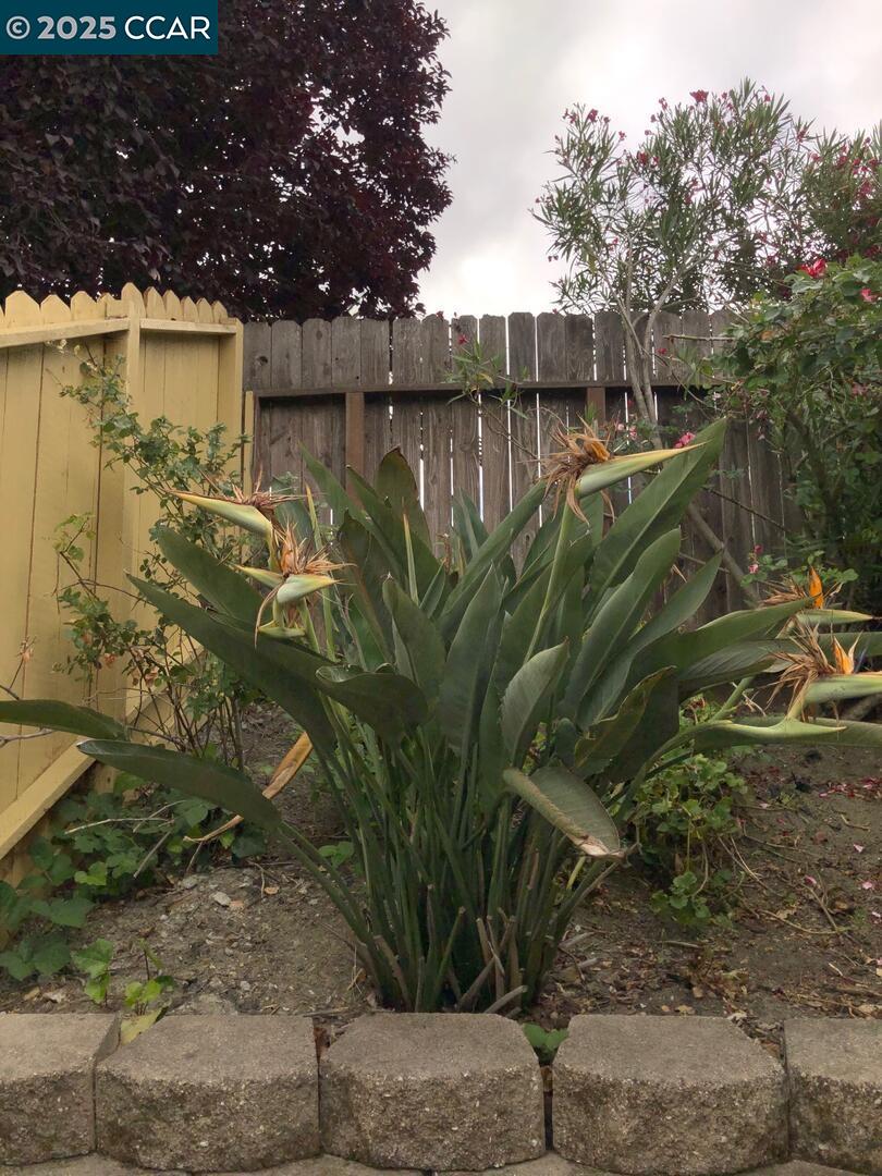 Detail Gallery Image 28 of 49 For 3088 Flannery Road, San Pablo,  CA 94806-1508 - 3 Beds | 2 Baths